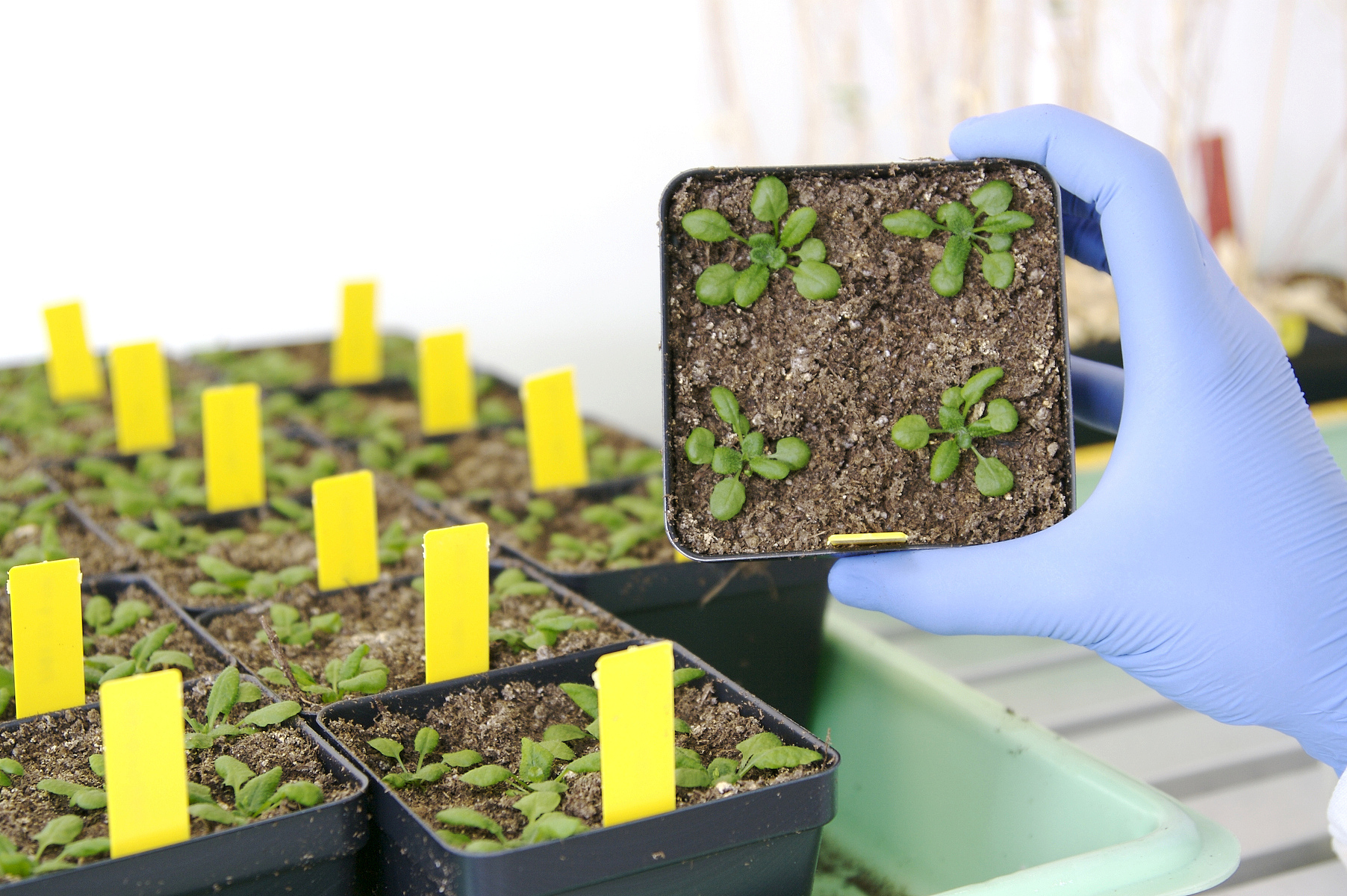 生物技术及应用专科课程有哪些？