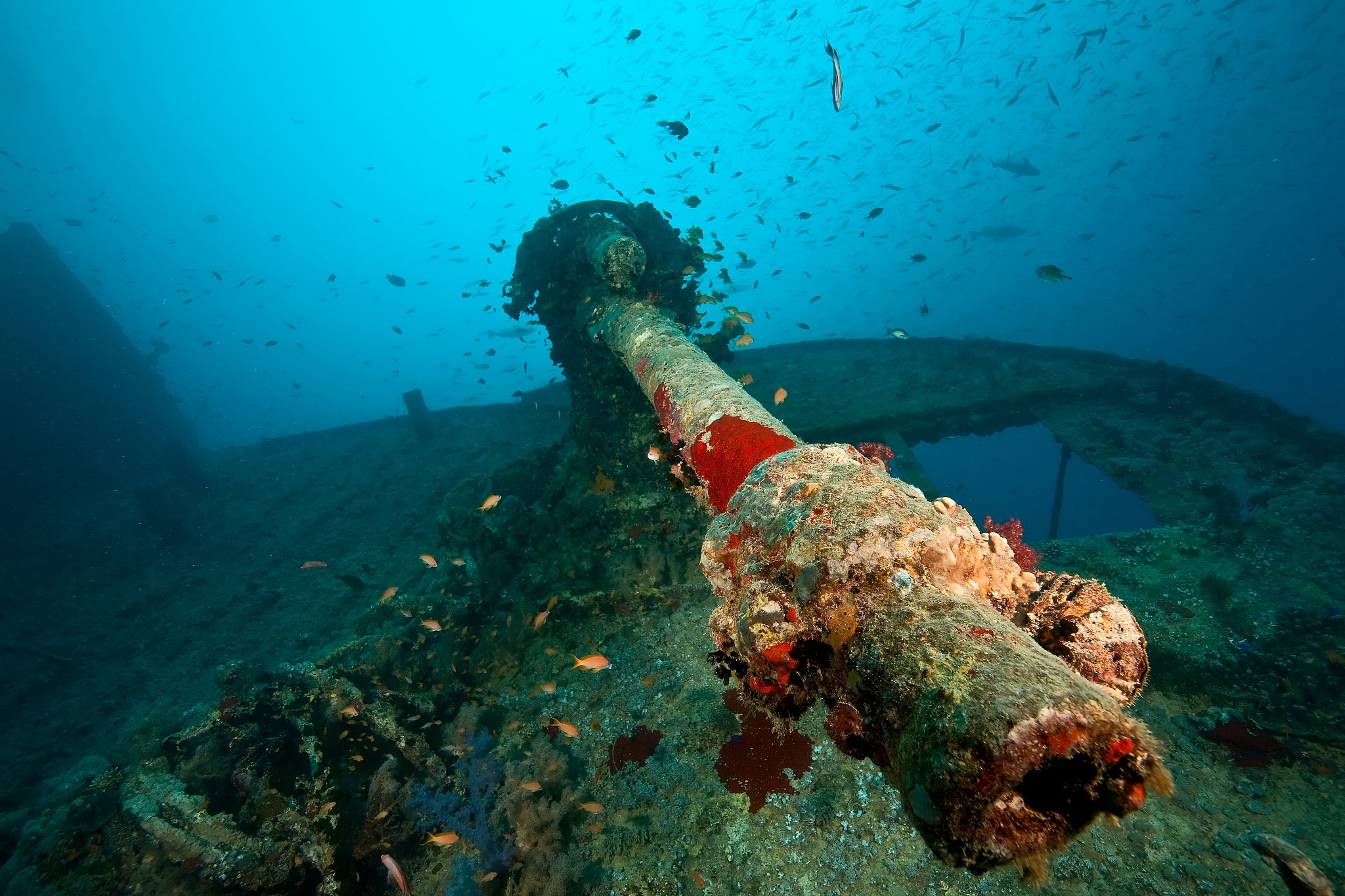 水下垃圾清理的危险性：潜水员面临的挑战与安全保障