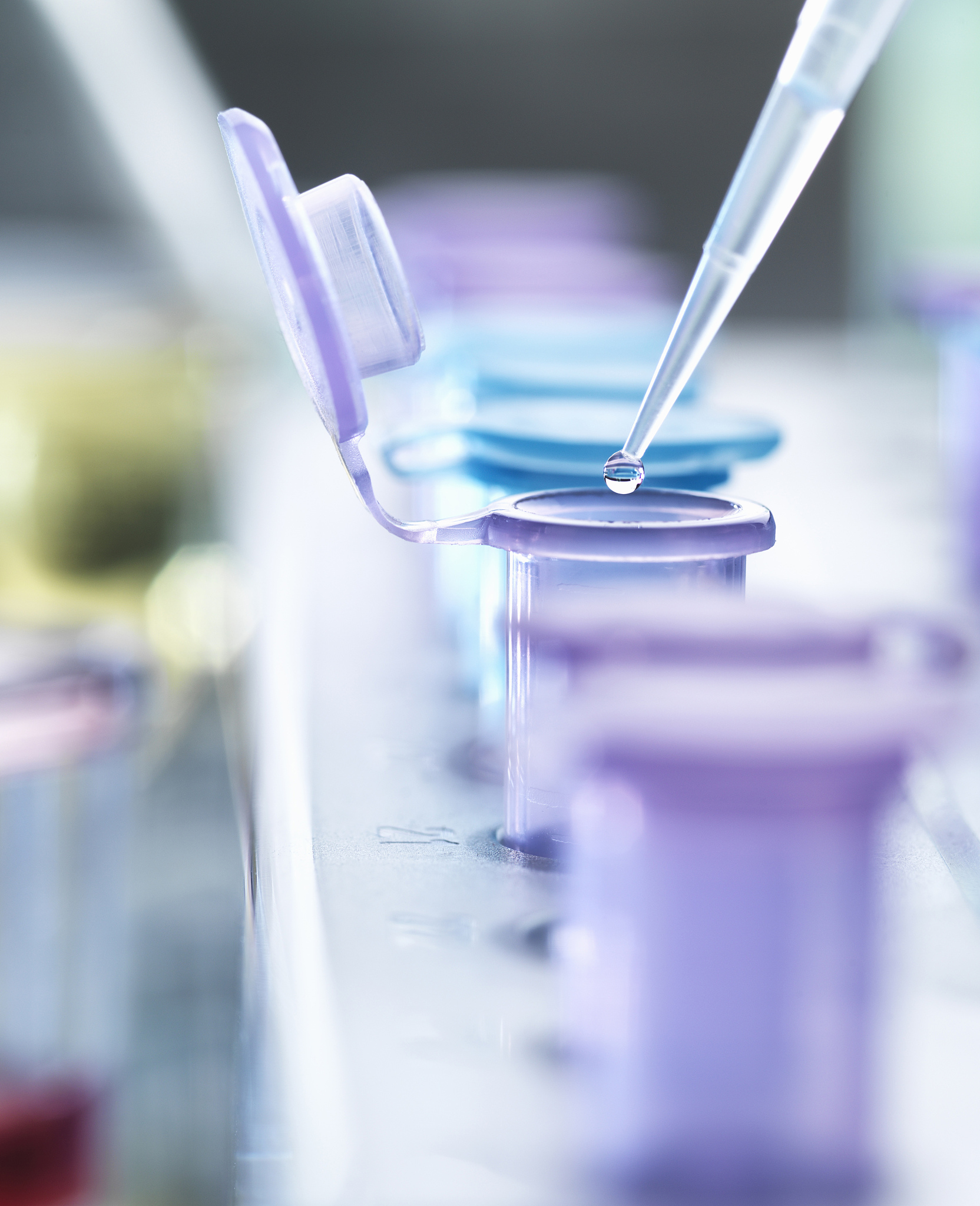 小学DNA提取实验：项目式设计活动