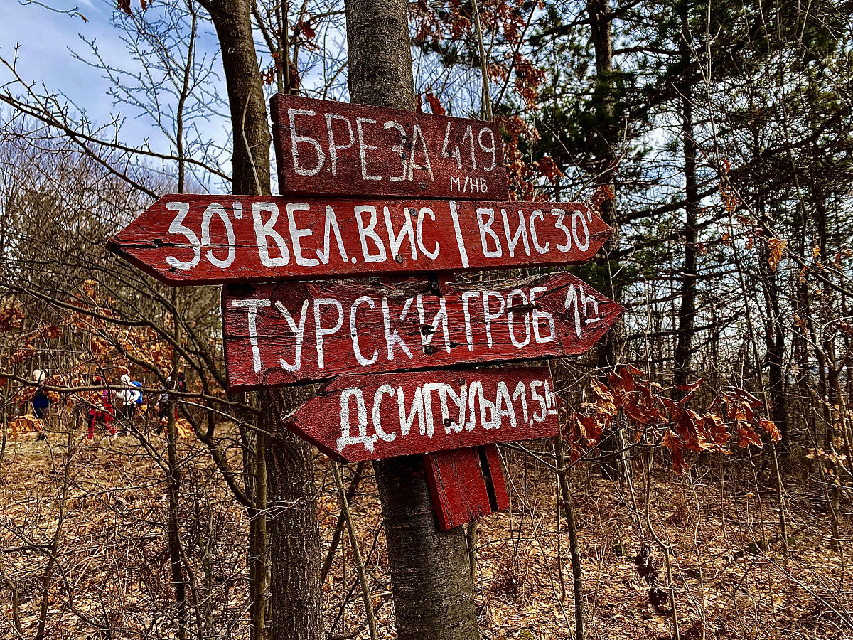 自驾出国旅行攻略：必备手续、注意事项及安全指南