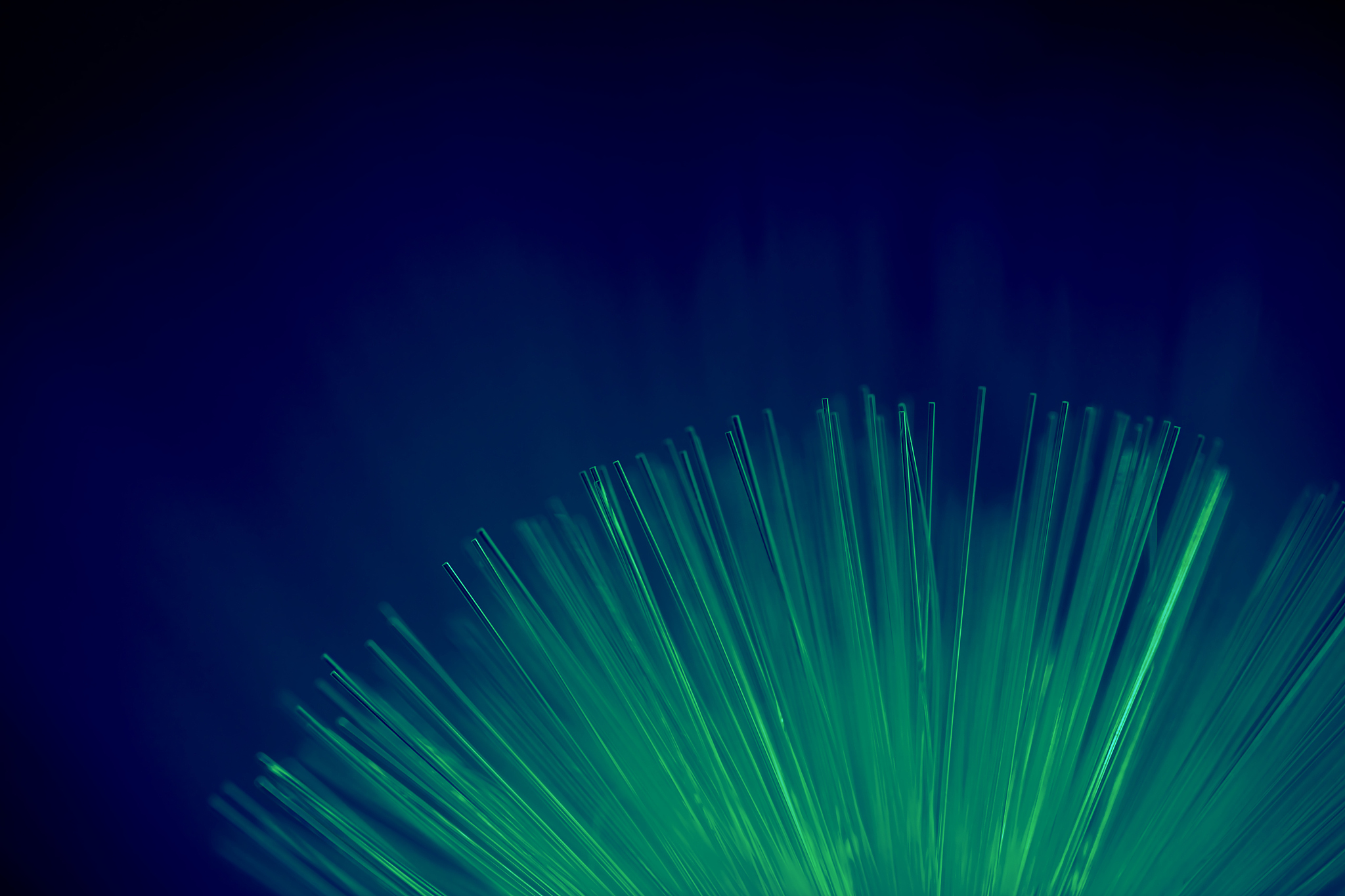 贵州省邮电学校通信造价管理专业怎么样