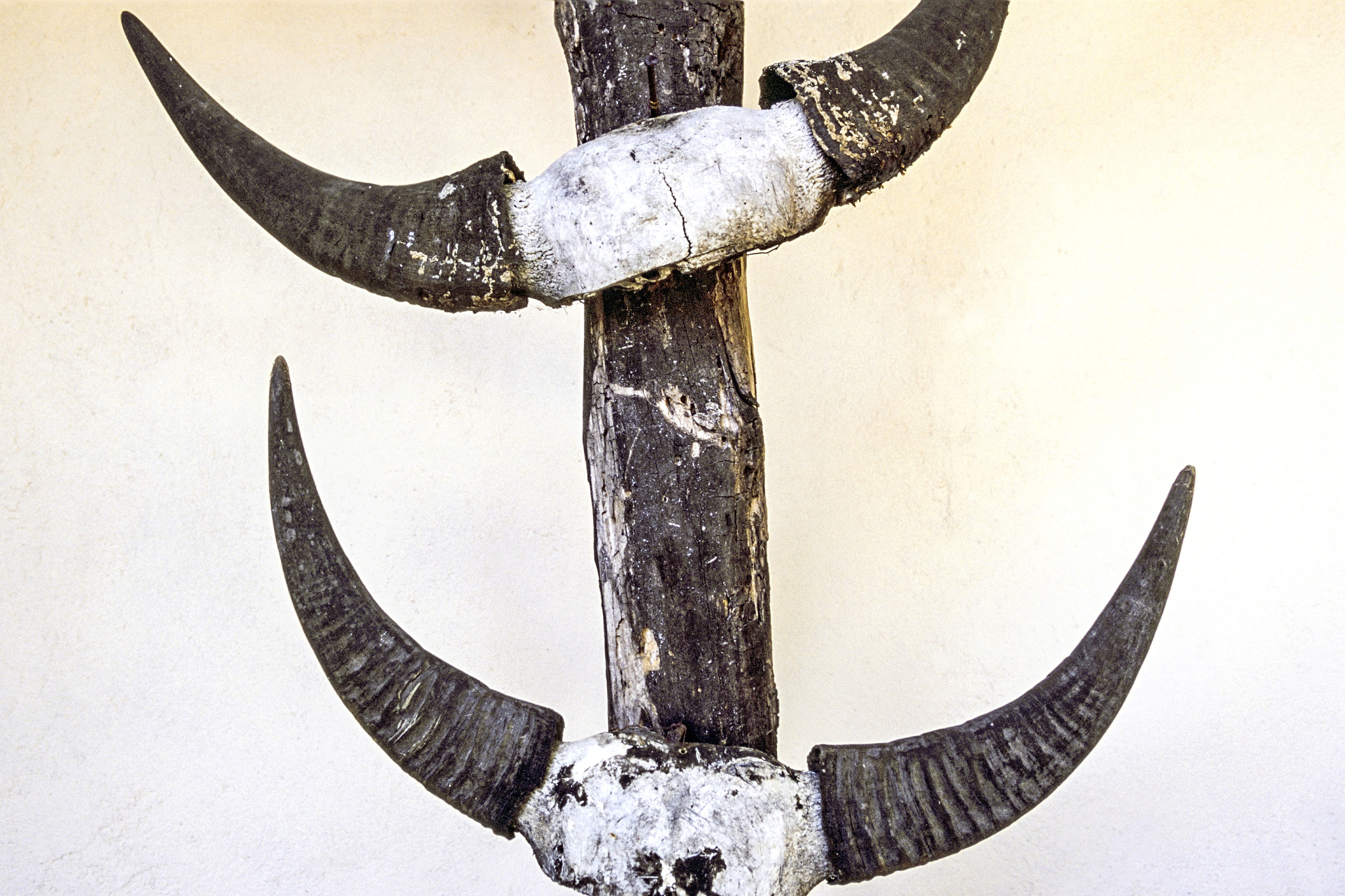 牛角的寓意和象征