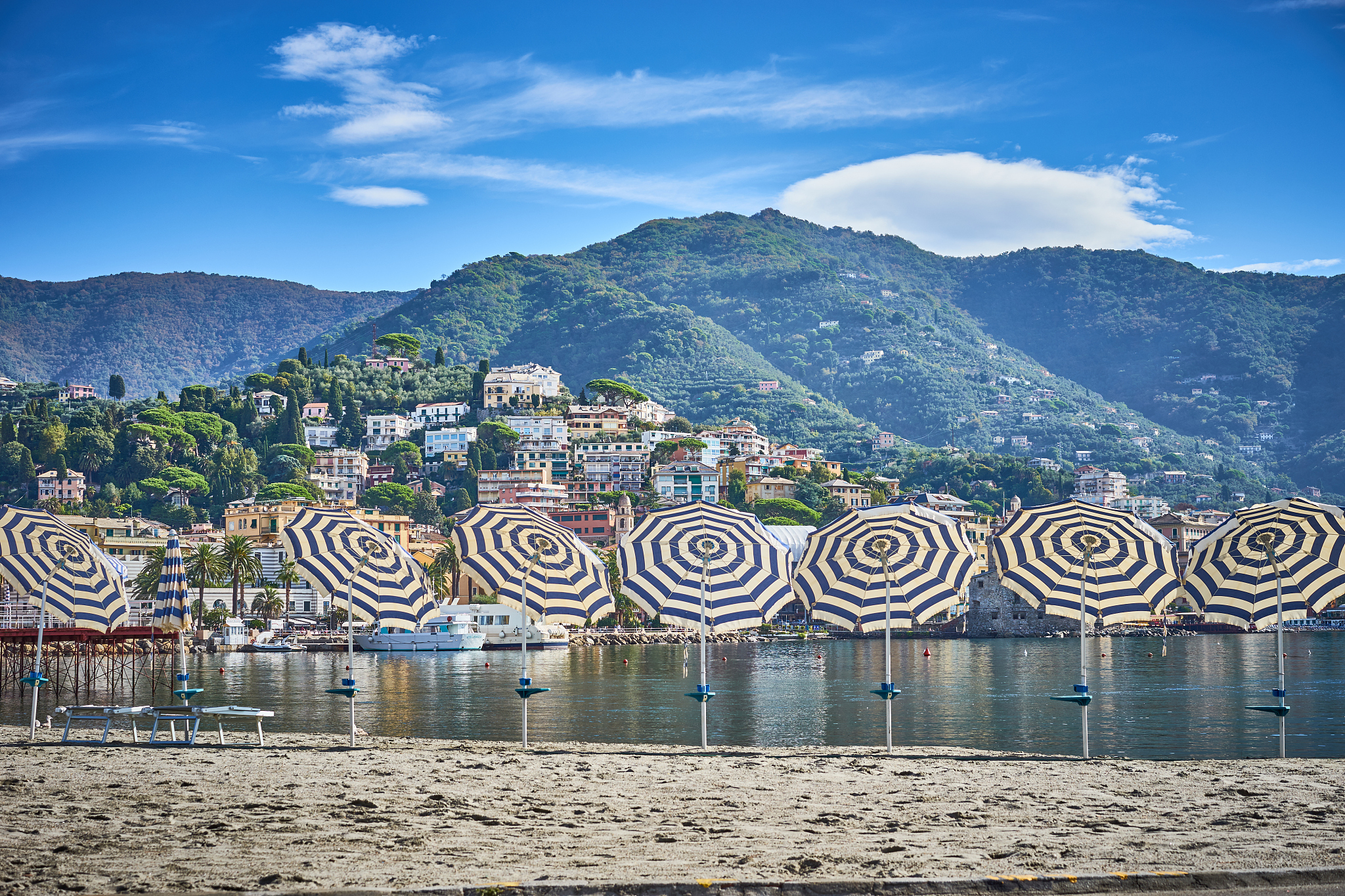 striped parasols in a line at beach