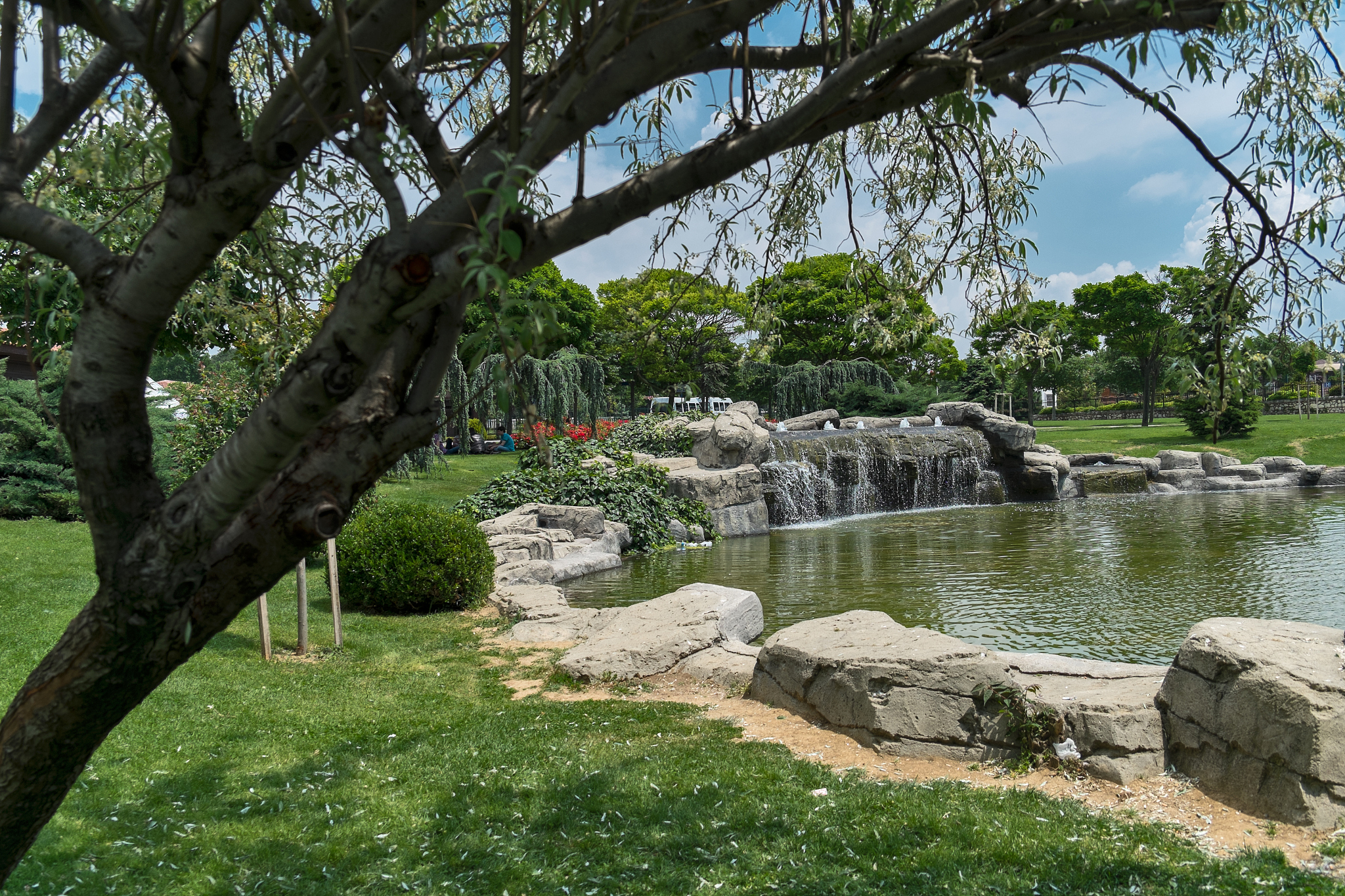 论述乡土植物在西安兴庆公园中凸显地域文化特征的应用原则。