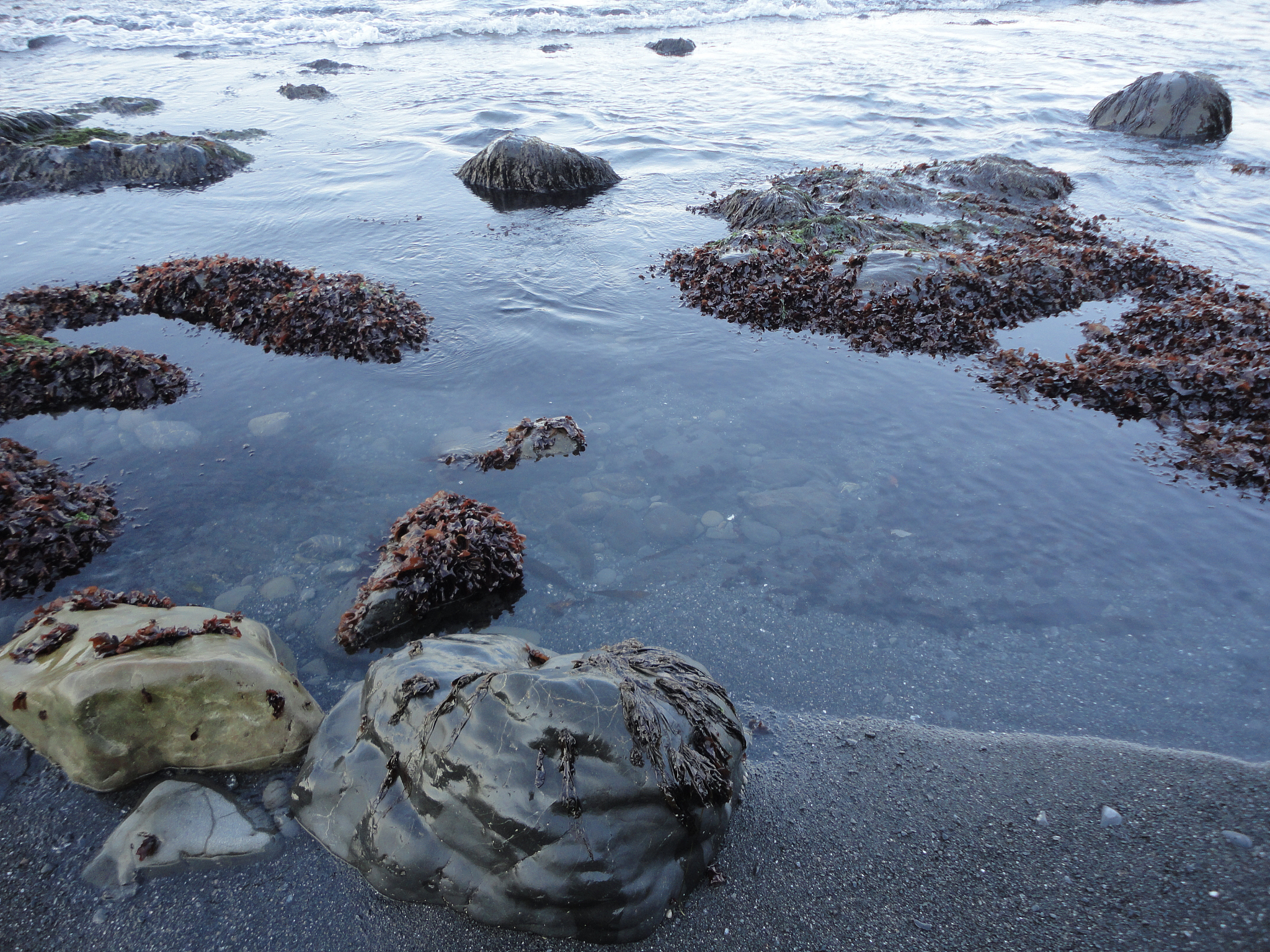 摄影入门难吗？零基础学摄影应该注意什么？