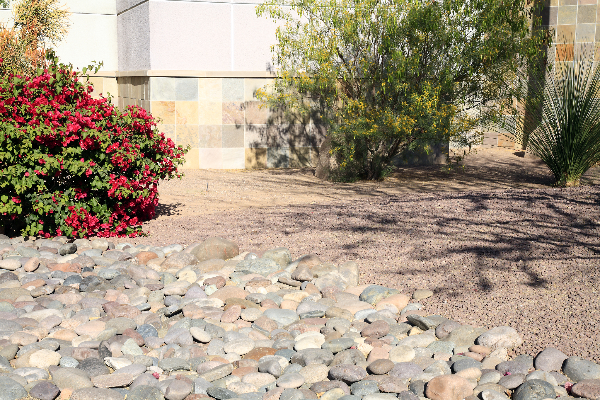 潍坊职业学院园林技术专业优势怎么样发展前景好不好呢