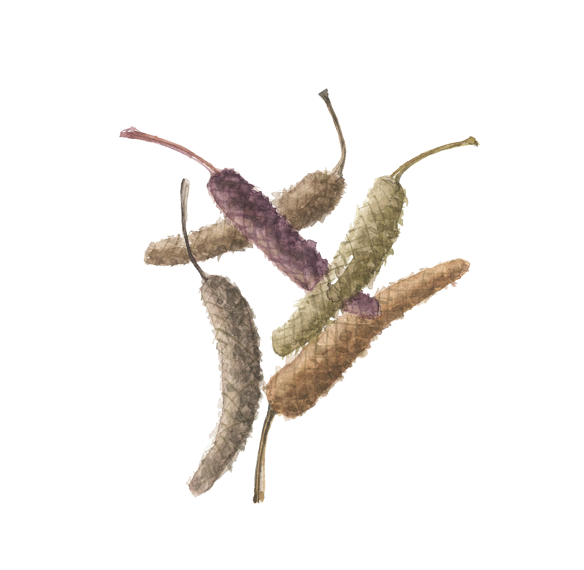 精神医学专业大学排名及就业前景分析