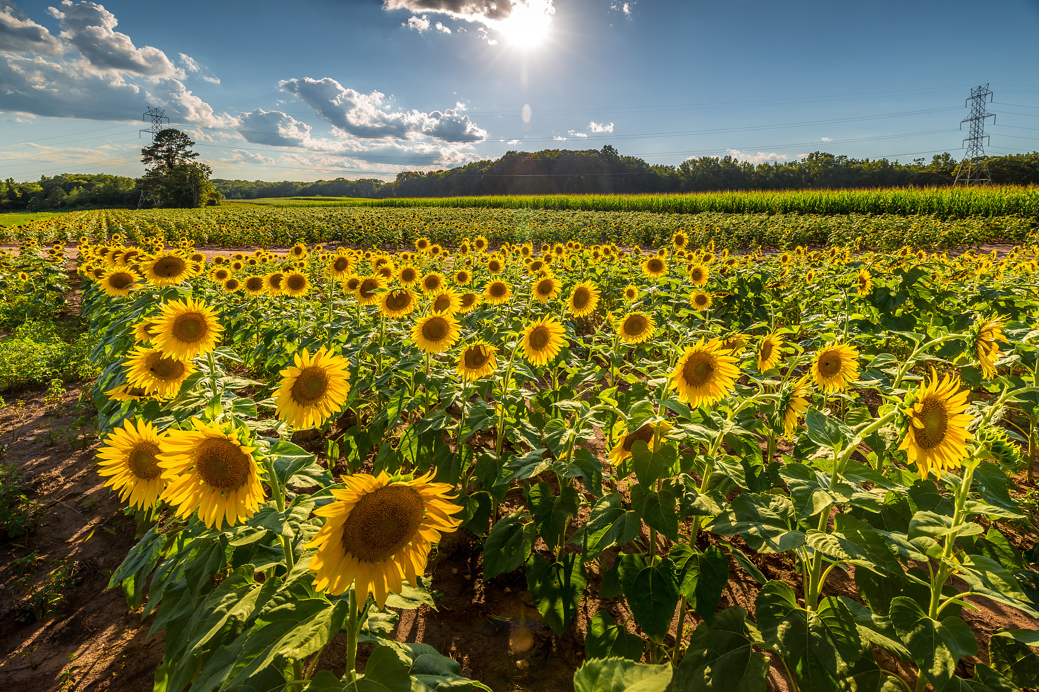 天水农业学校2022年招生简章 - 报名指南、专业、录取标准