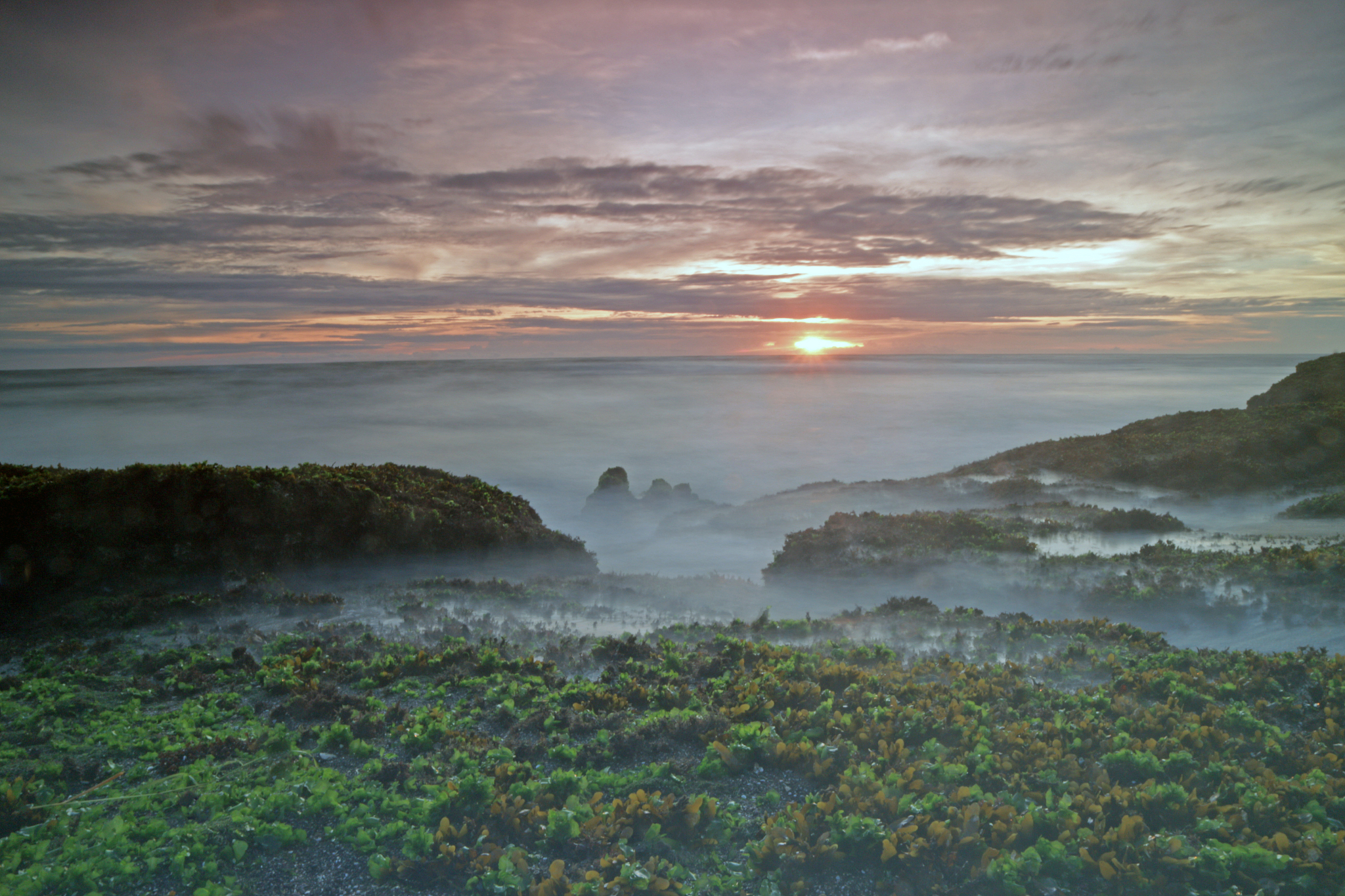 Summer Solstice: Early Riser's Dilemma - Finding Comfort in Nature's Rhythms