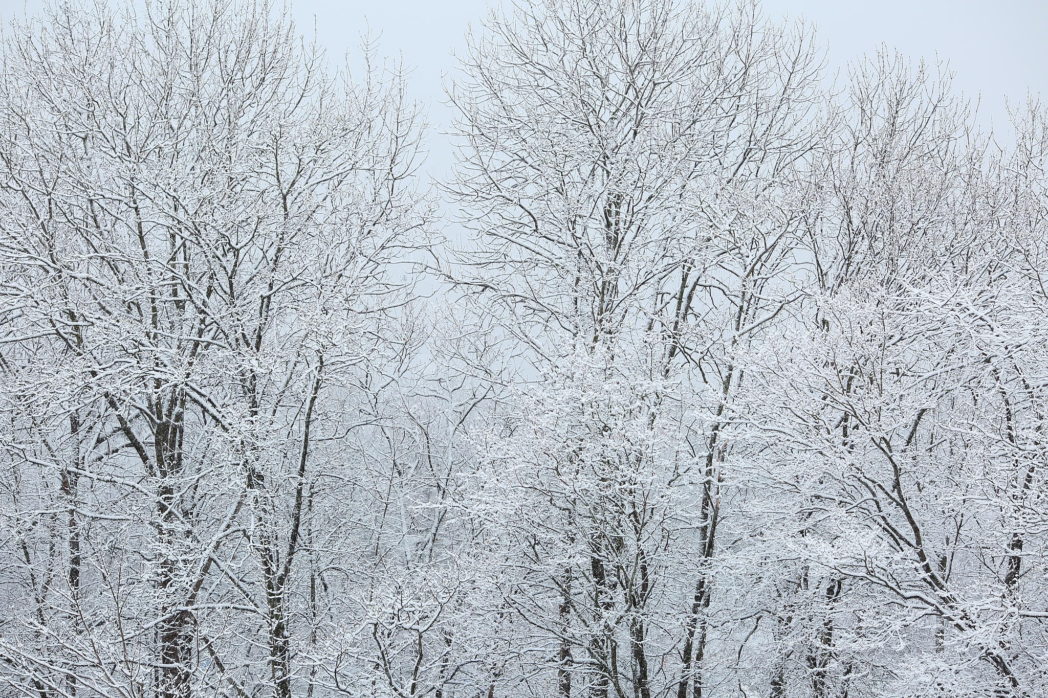 农业和森林气象学期刊推荐：AGRICULTURAL AND FOREST METEOROLOGY