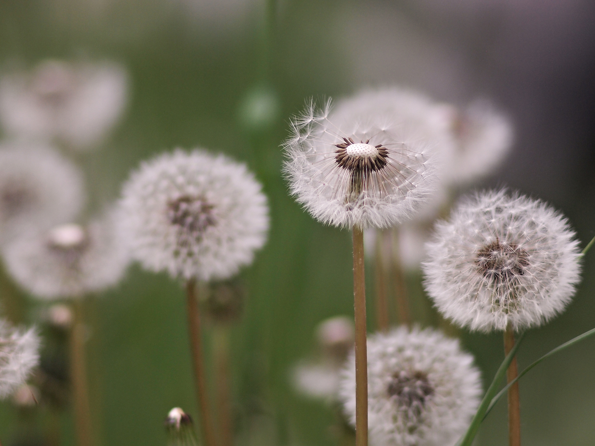 山西农业大学种子科学与工程专业怎么样