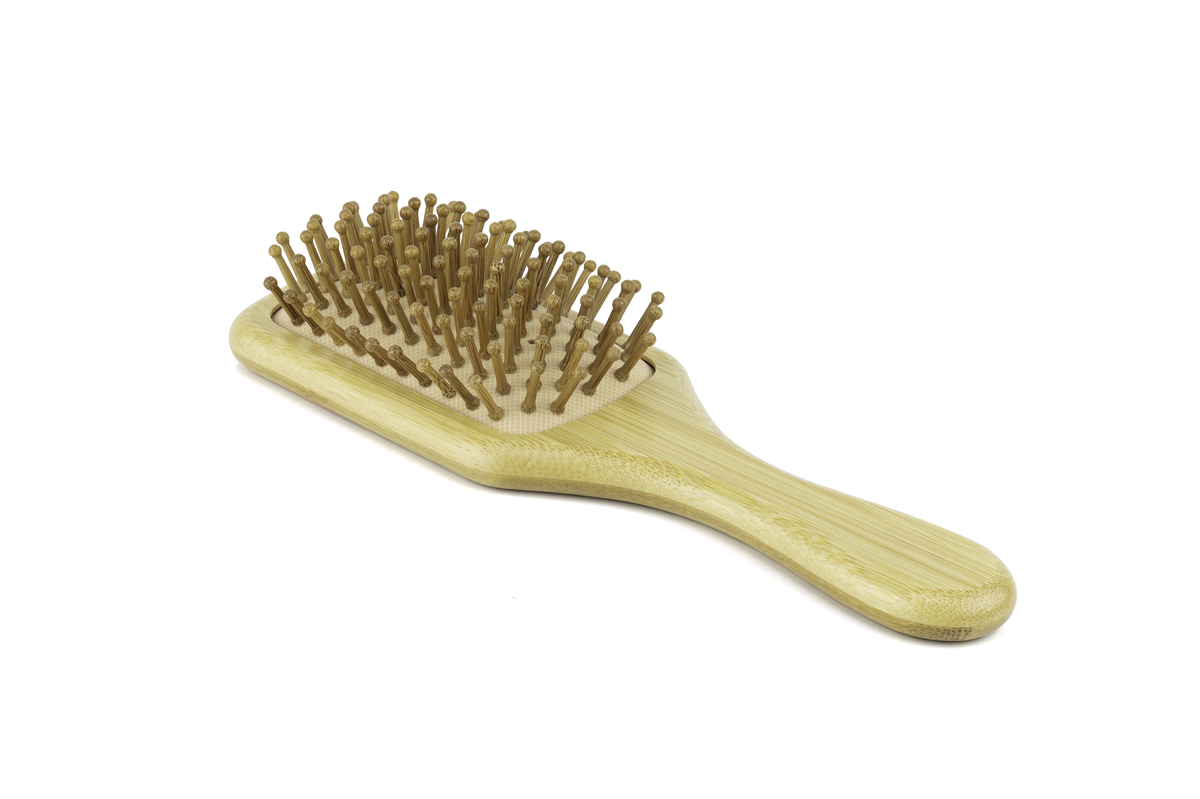 太阳花宠物梳：让宠物焕发夏日光彩，成为时尚焦点！