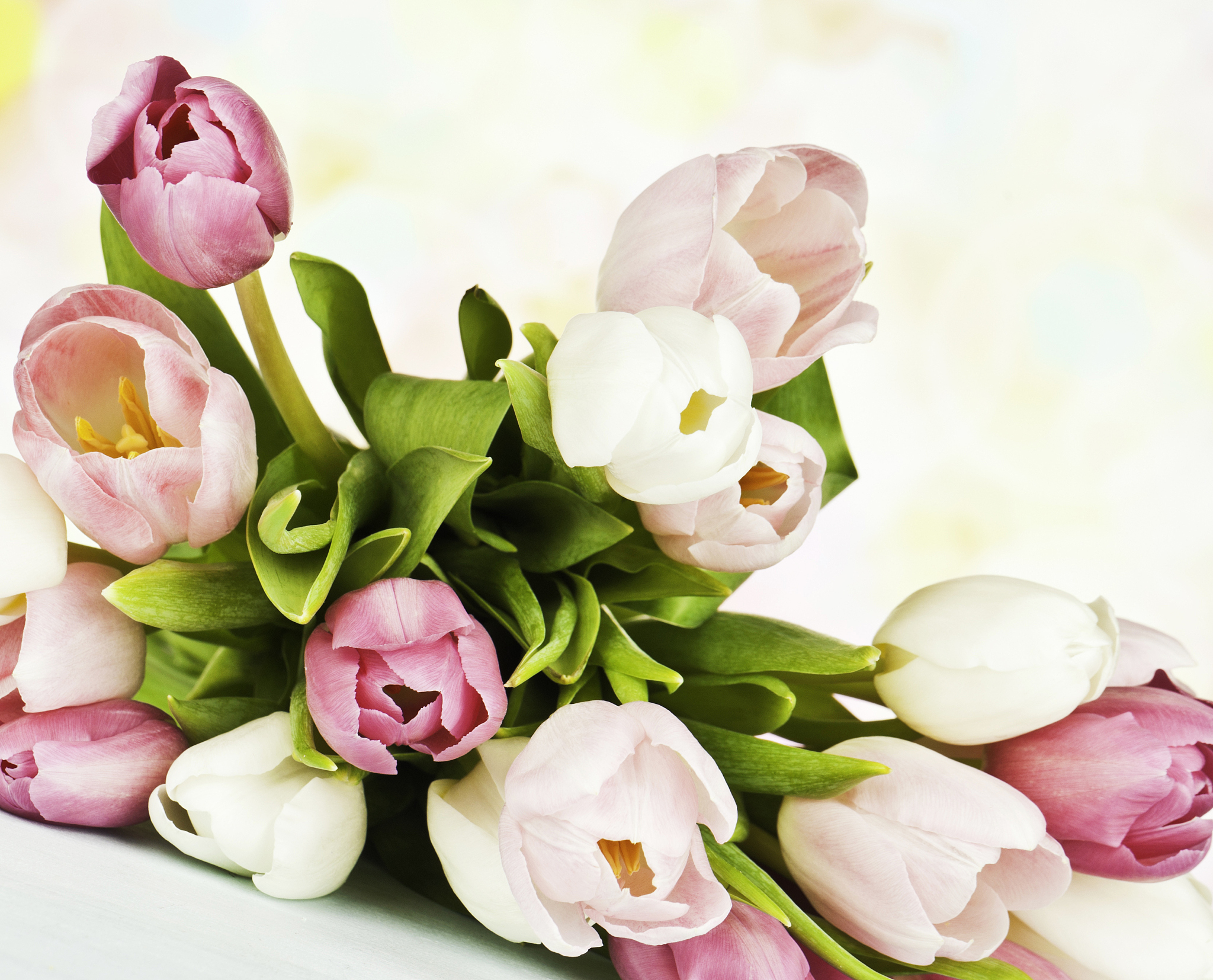 写10种常见花的花语