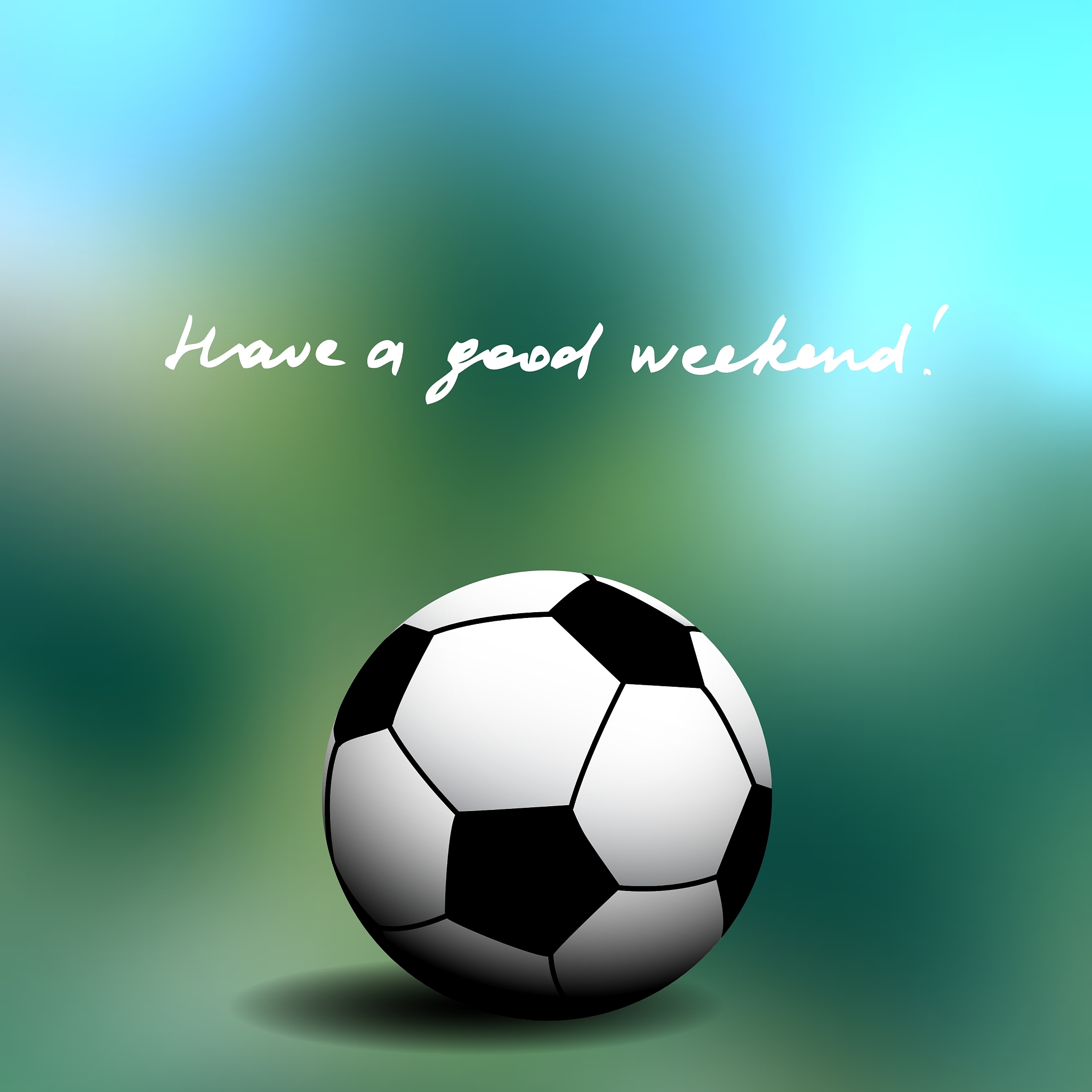 soccer ball on the field