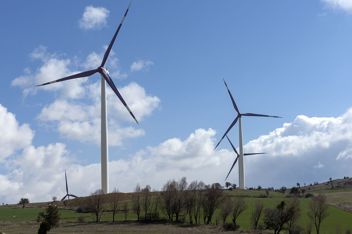 江西显维生态科技有限公司规模及发展历史