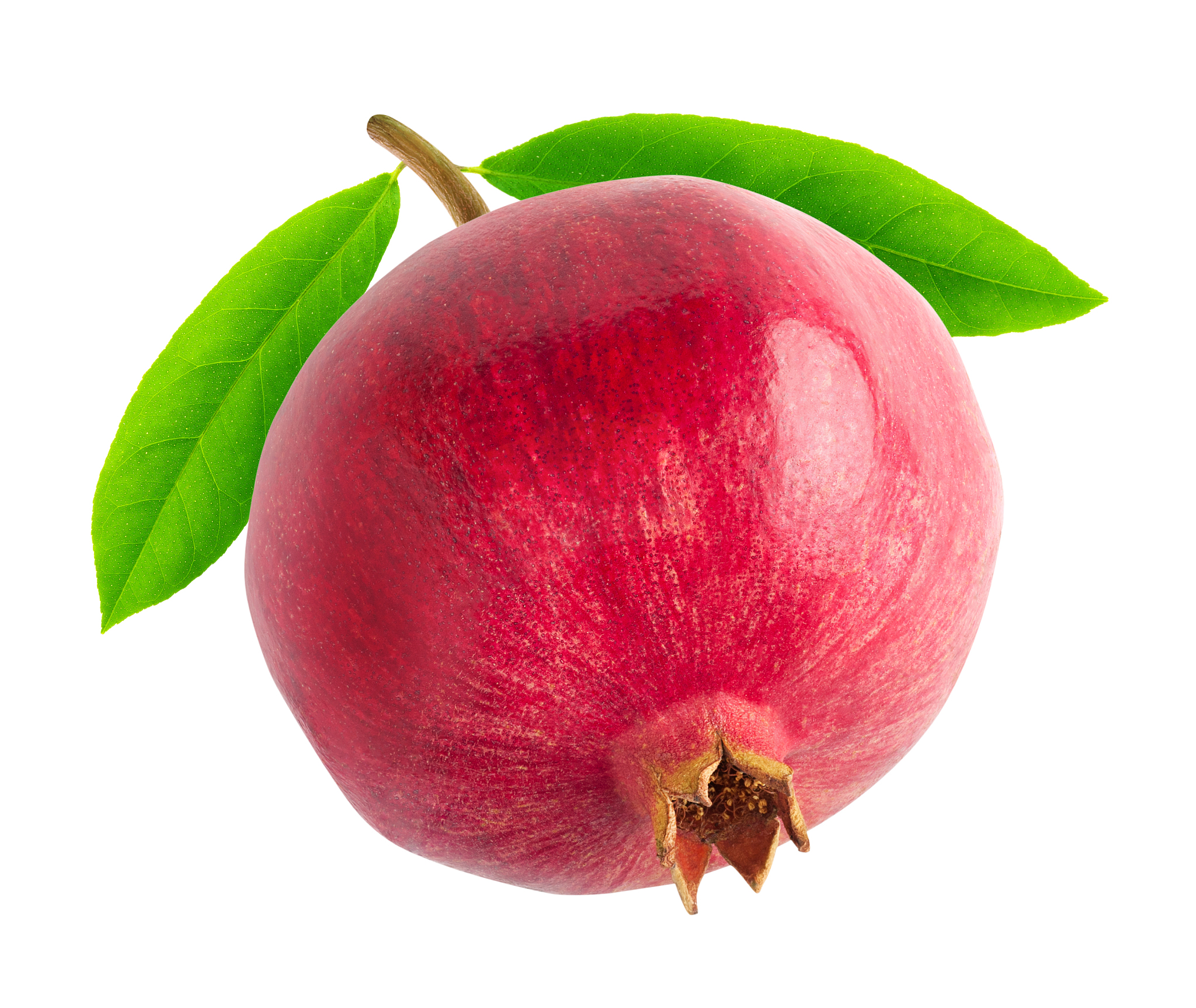 福能源的石榴沙棘钙的成分是什么？