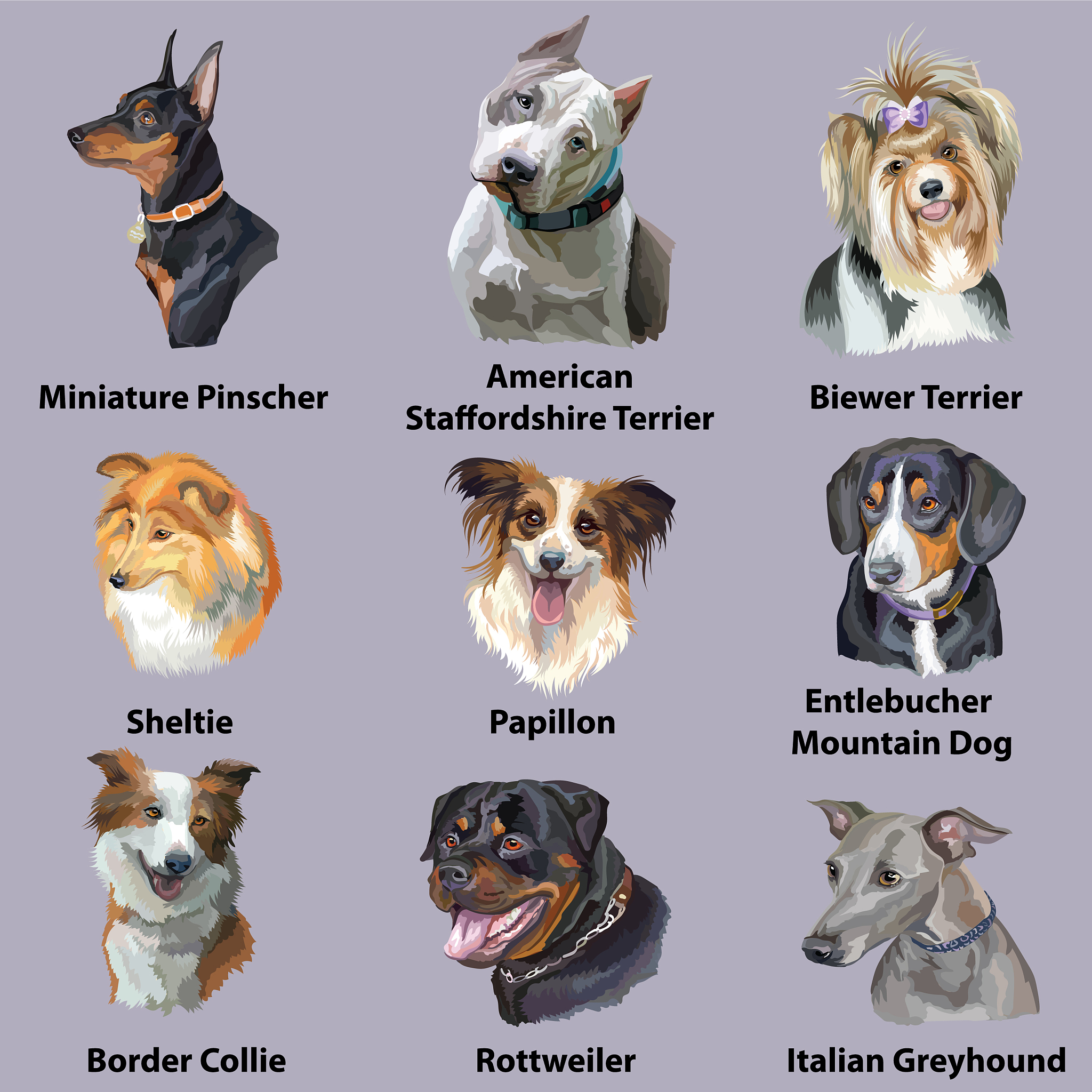 回答以下英文问题简单语法准确：What’s your favorite animalWhy？What is the most popular pet in ChinaHave you ever had a pet beforeWhere do you prefer to keep your petindoors or outdoors