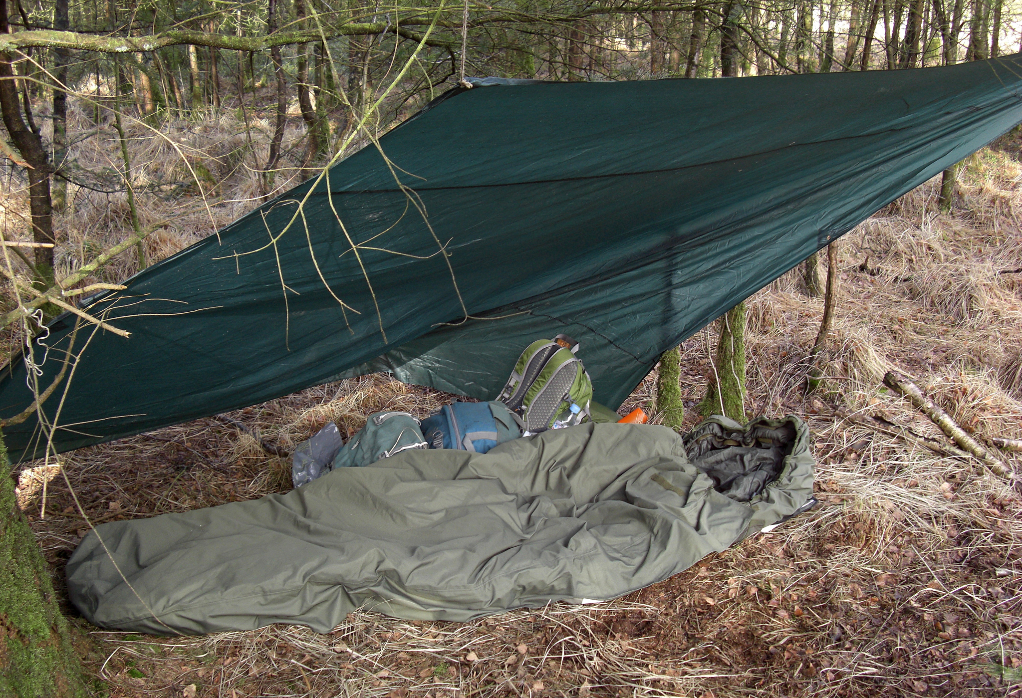 住在山边上蚊虫比较多怎么办