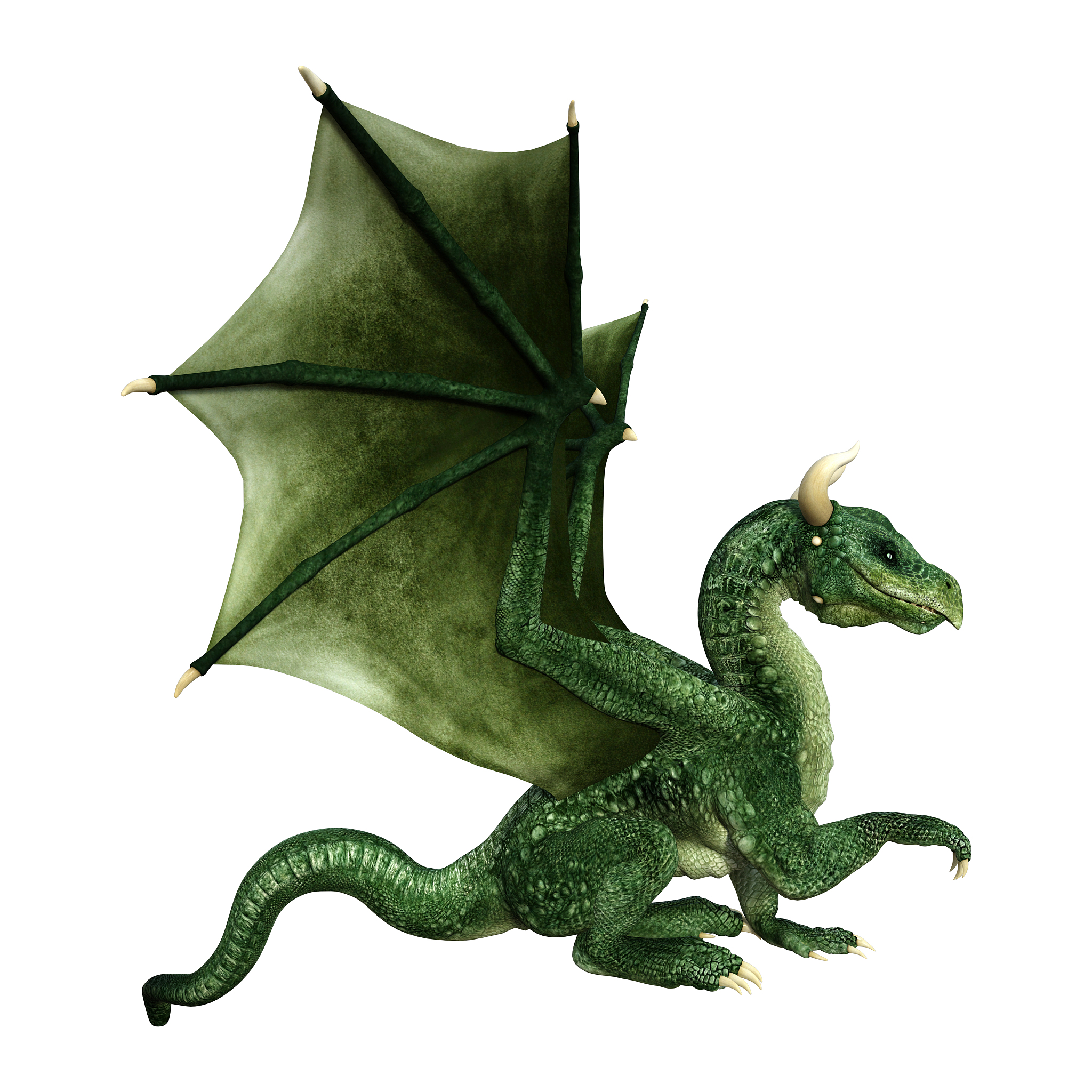 3d illustration fantasy dragon on white