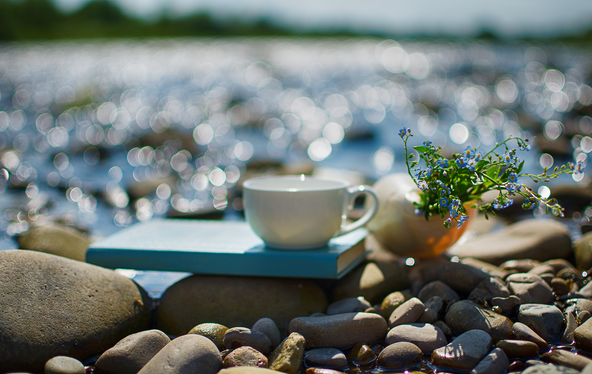 享受生活：珍惜当下，发现美好