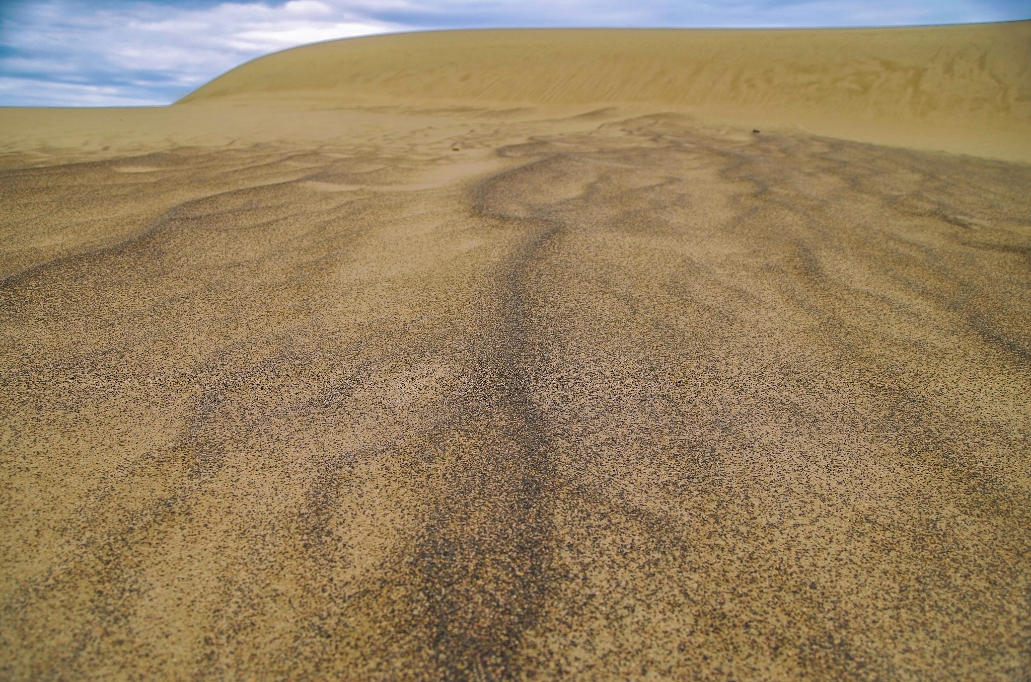 the nature draws on the sand.