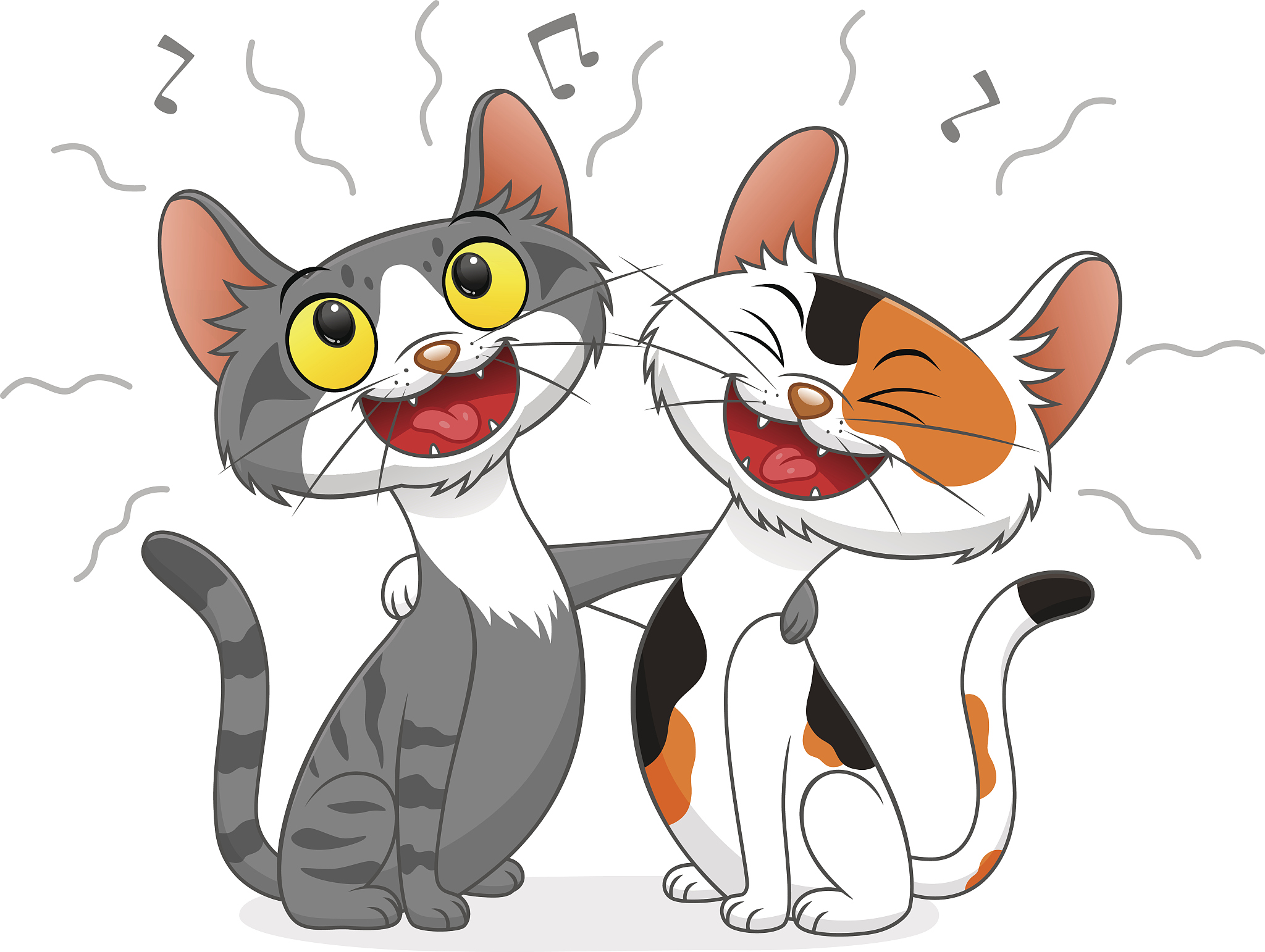 醉猫是个什么东西？