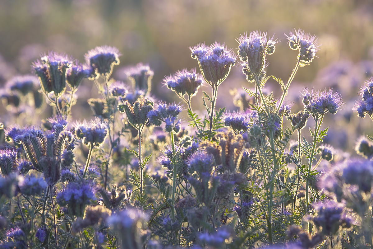 遵义医药高等专科学校药学专业怎么样？招生对象有哪些？