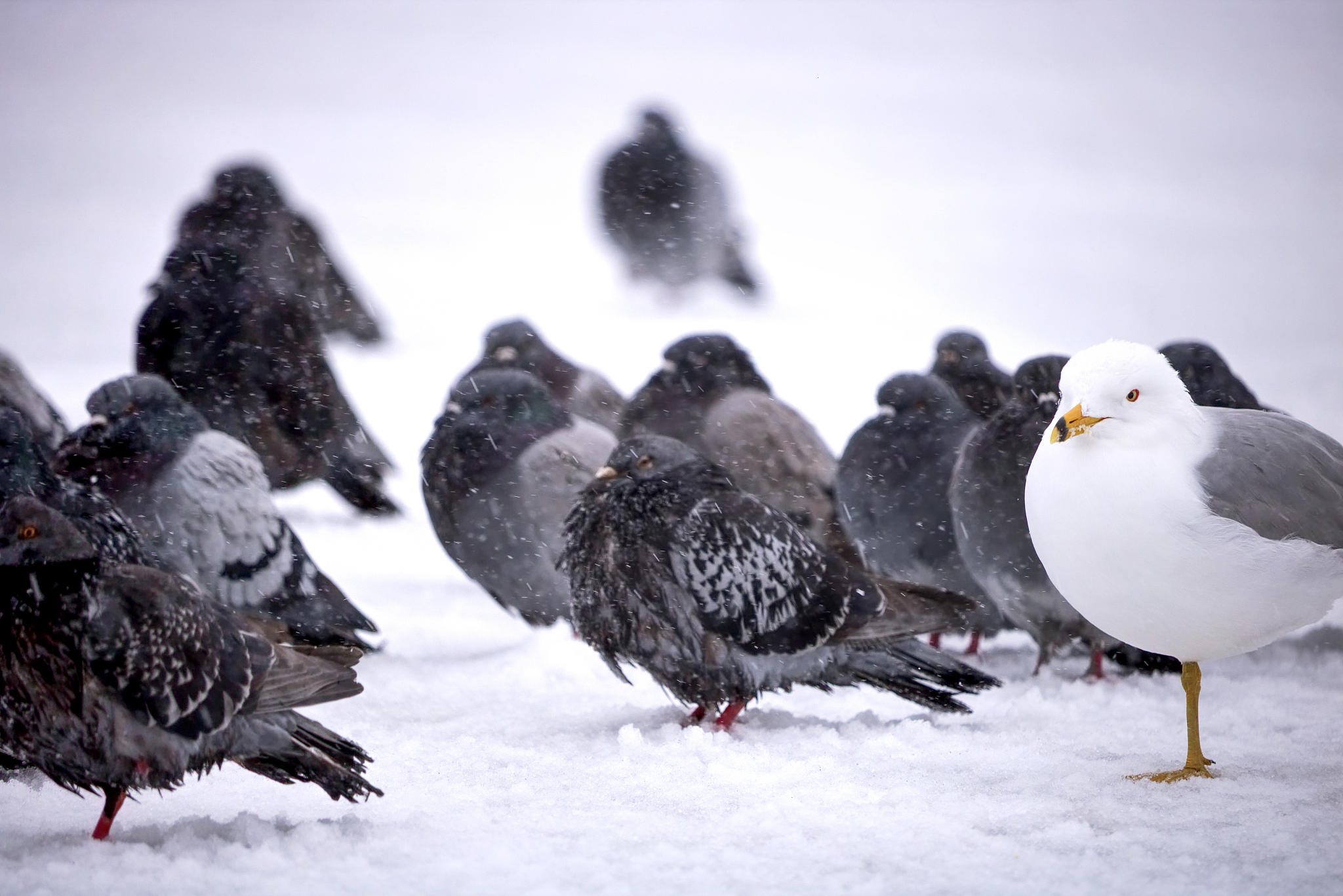四个人的群名创意：神秘、不可思议、绝密、超凡！