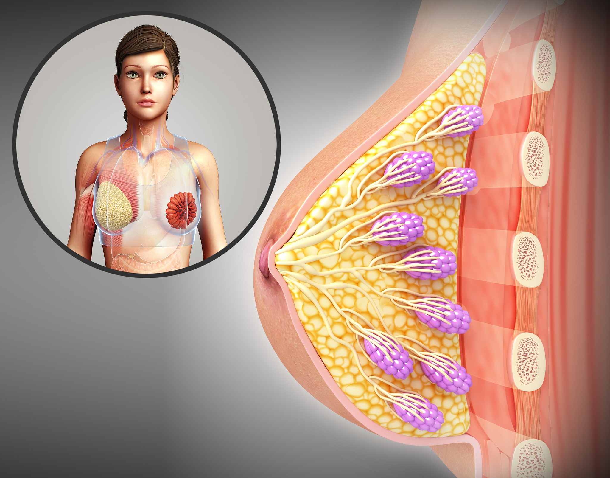 甲乳外科：乳腺和甲状腺疾病的专业诊疗