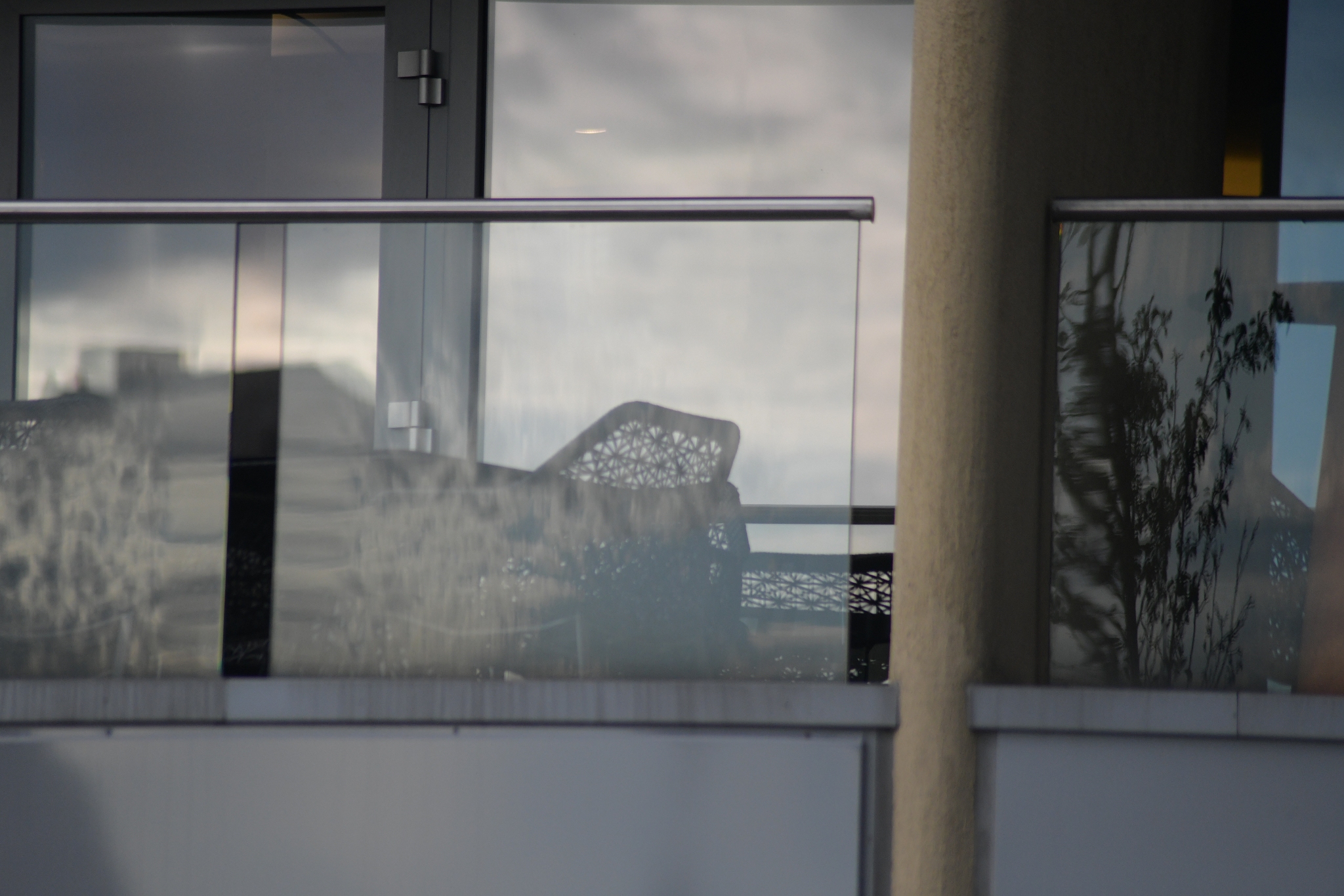 lifestyle design in reflection