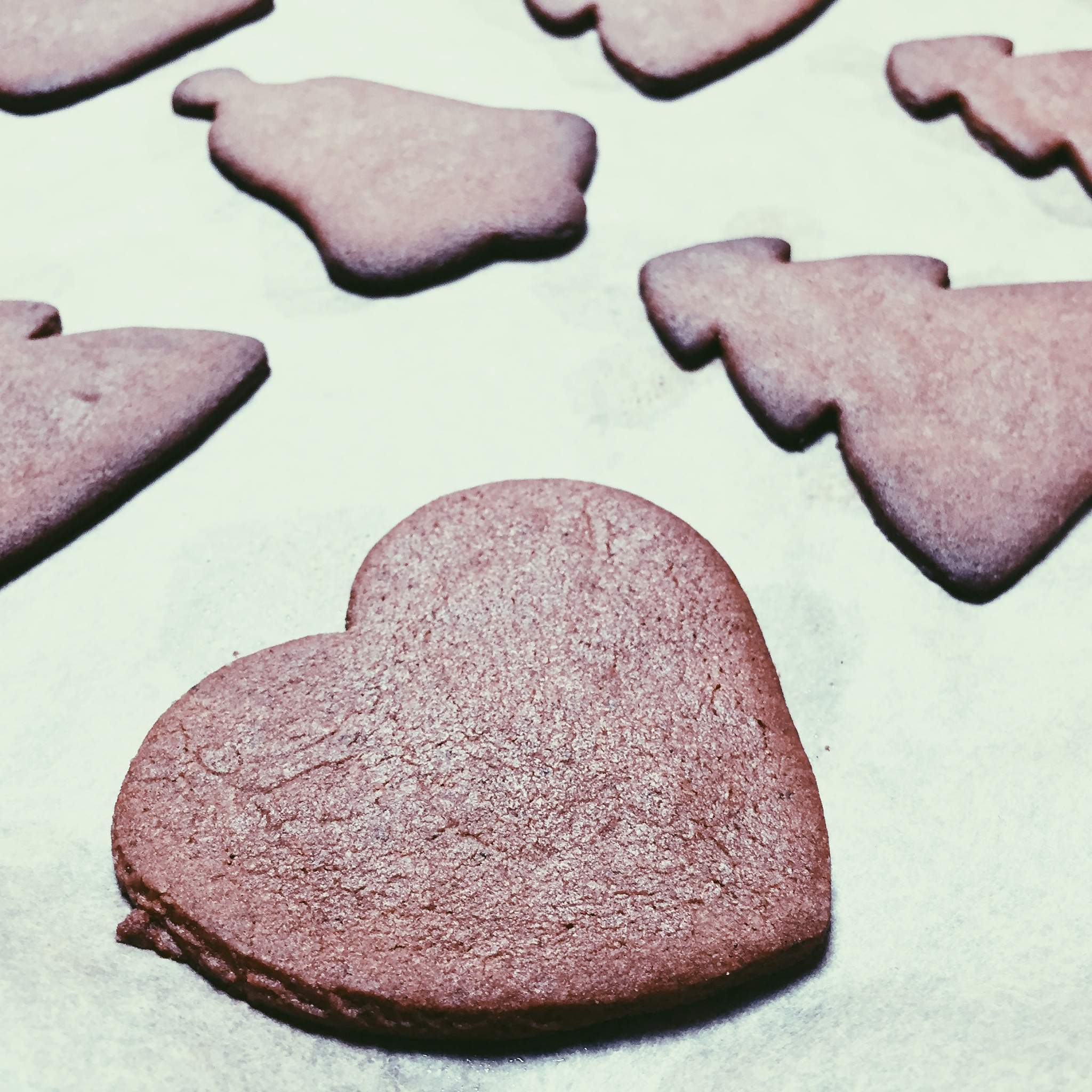high angle view of gingerbread cookies on baking sheet