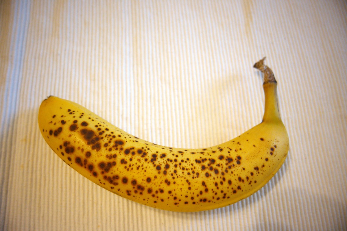 香蕉货物变黄变软，运输过程温度正常，原因分析及责任认定