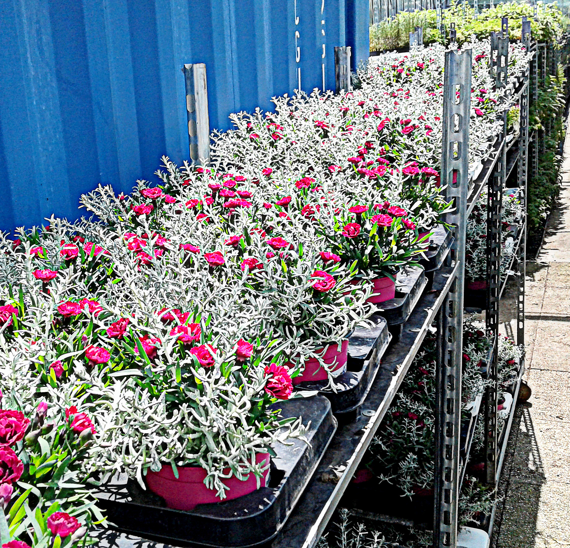 四川省旅游学校园林技术专业涉及哪些课程