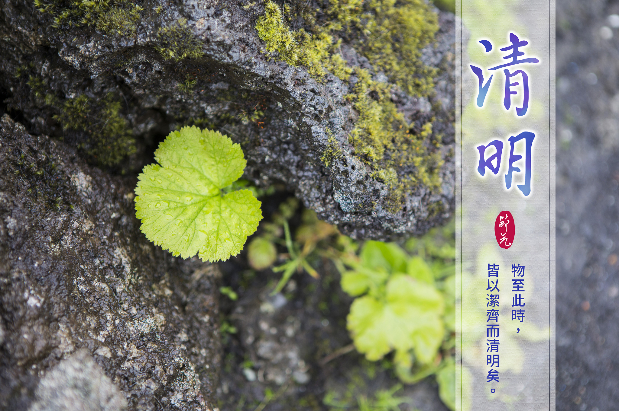 清明节是哪一天？2024年清明节时间