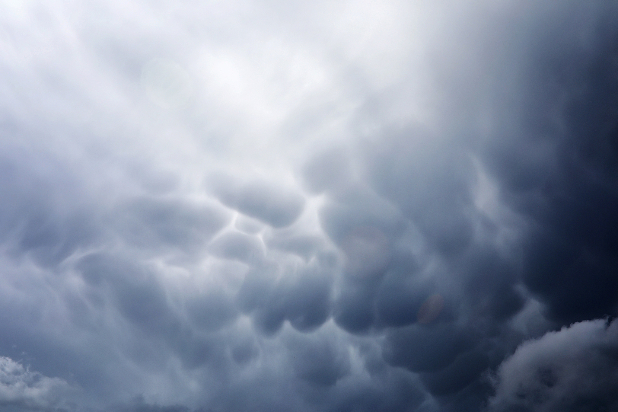 建立实施环境管理体系的意义