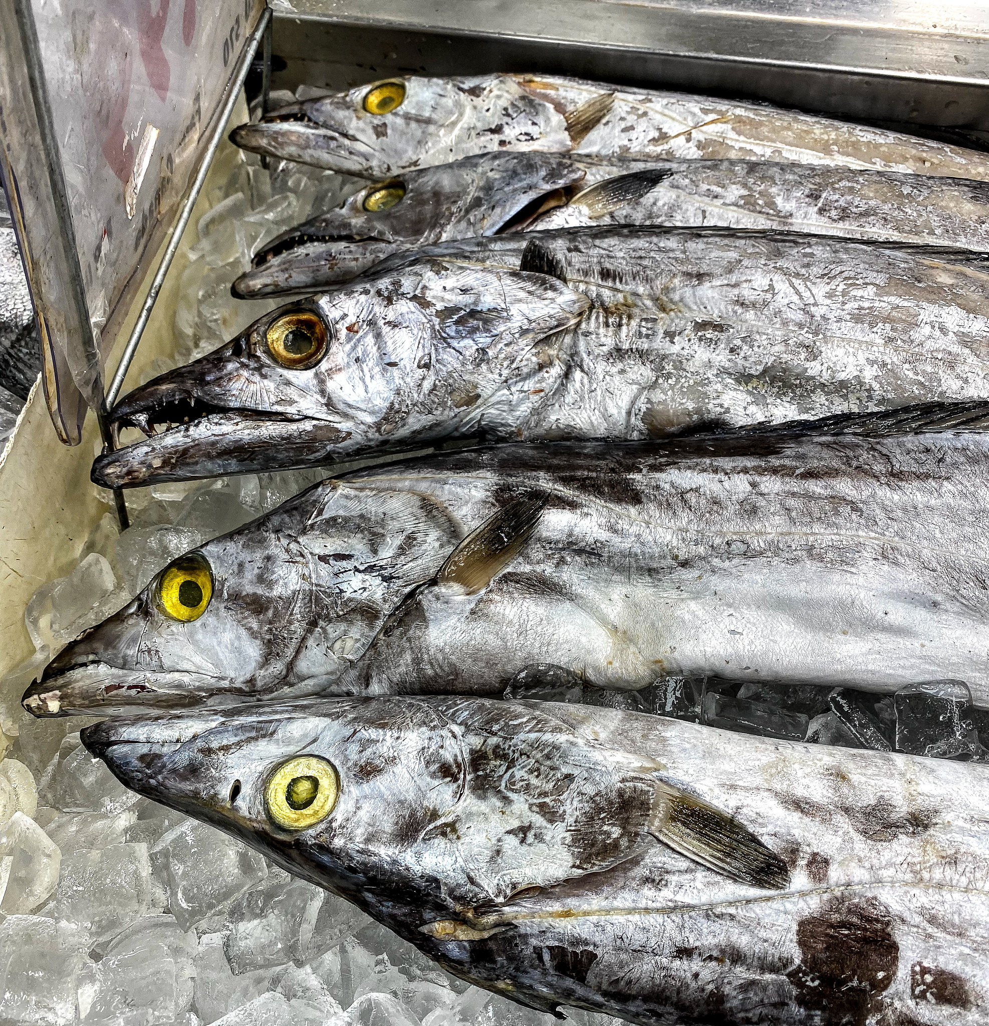 隔夜鱼还能吃吗？保存方法和安全食用指南