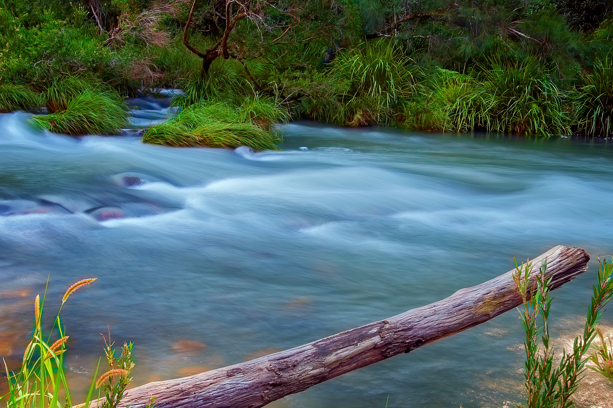 nerang river