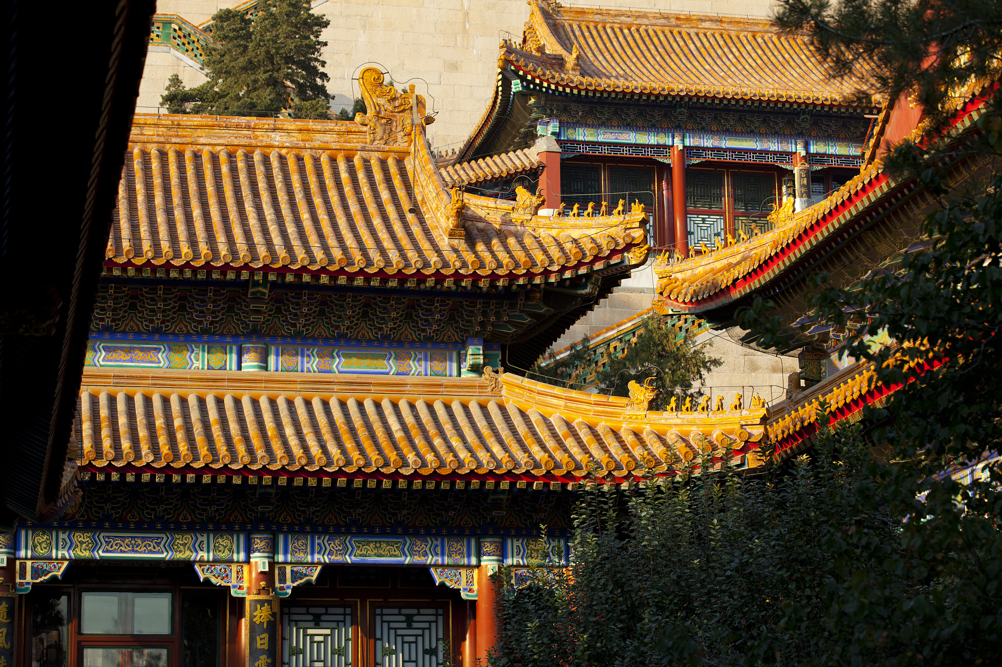 安徽旅游职业学院单招有高铁乘务专业吗