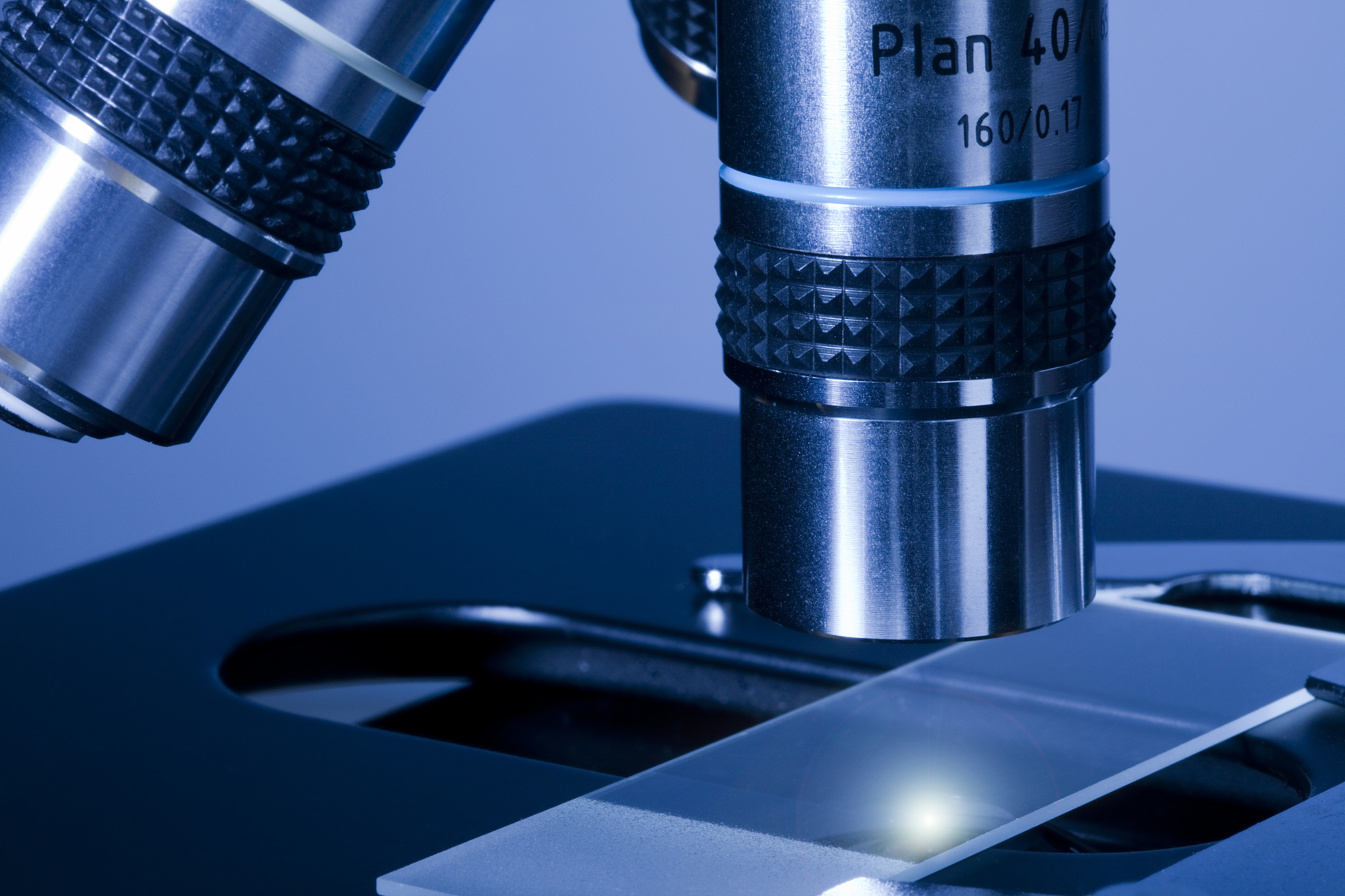 光学显微镜放大原理：物镜与目镜的双重放大