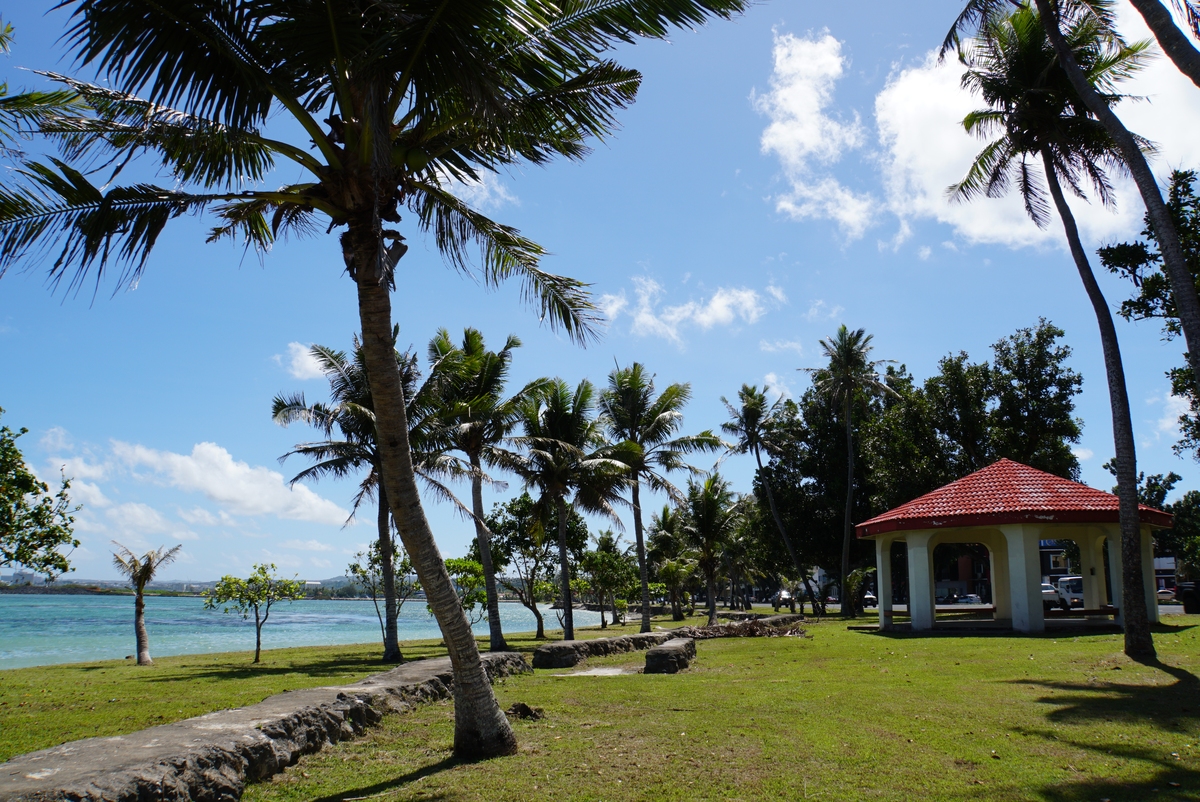 白天的夏天突出夏天的清凉