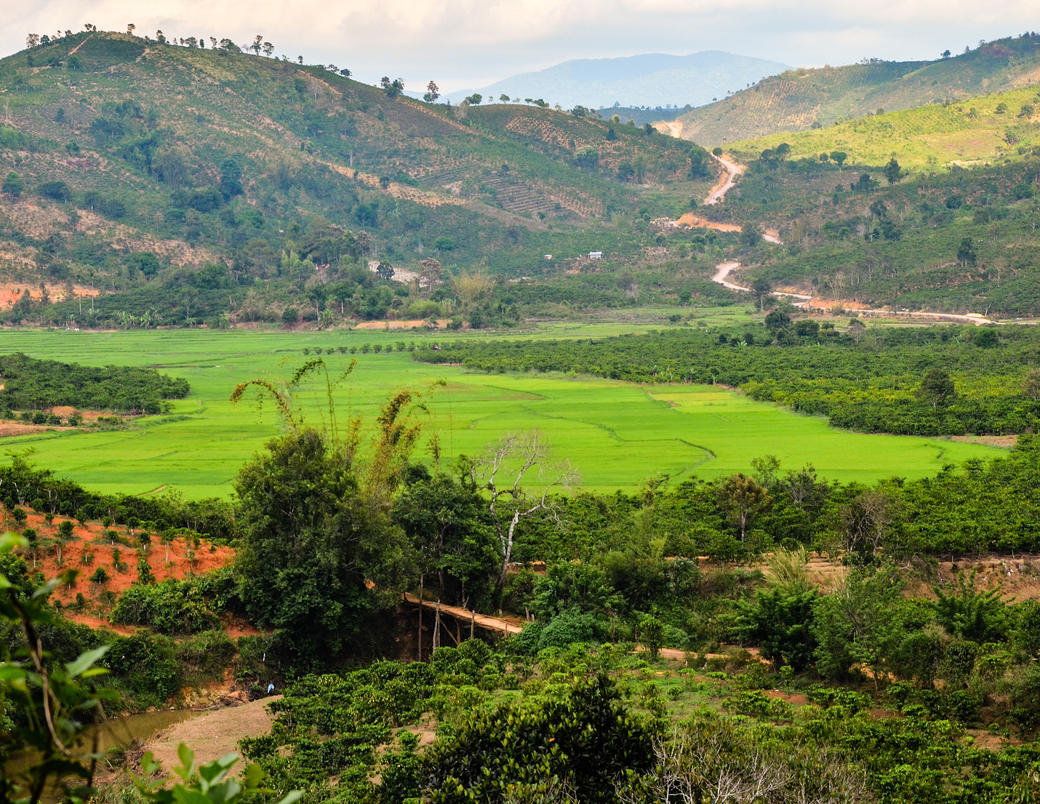 马来西亚双溪拉亚村 乡村振兴所依赖的条件