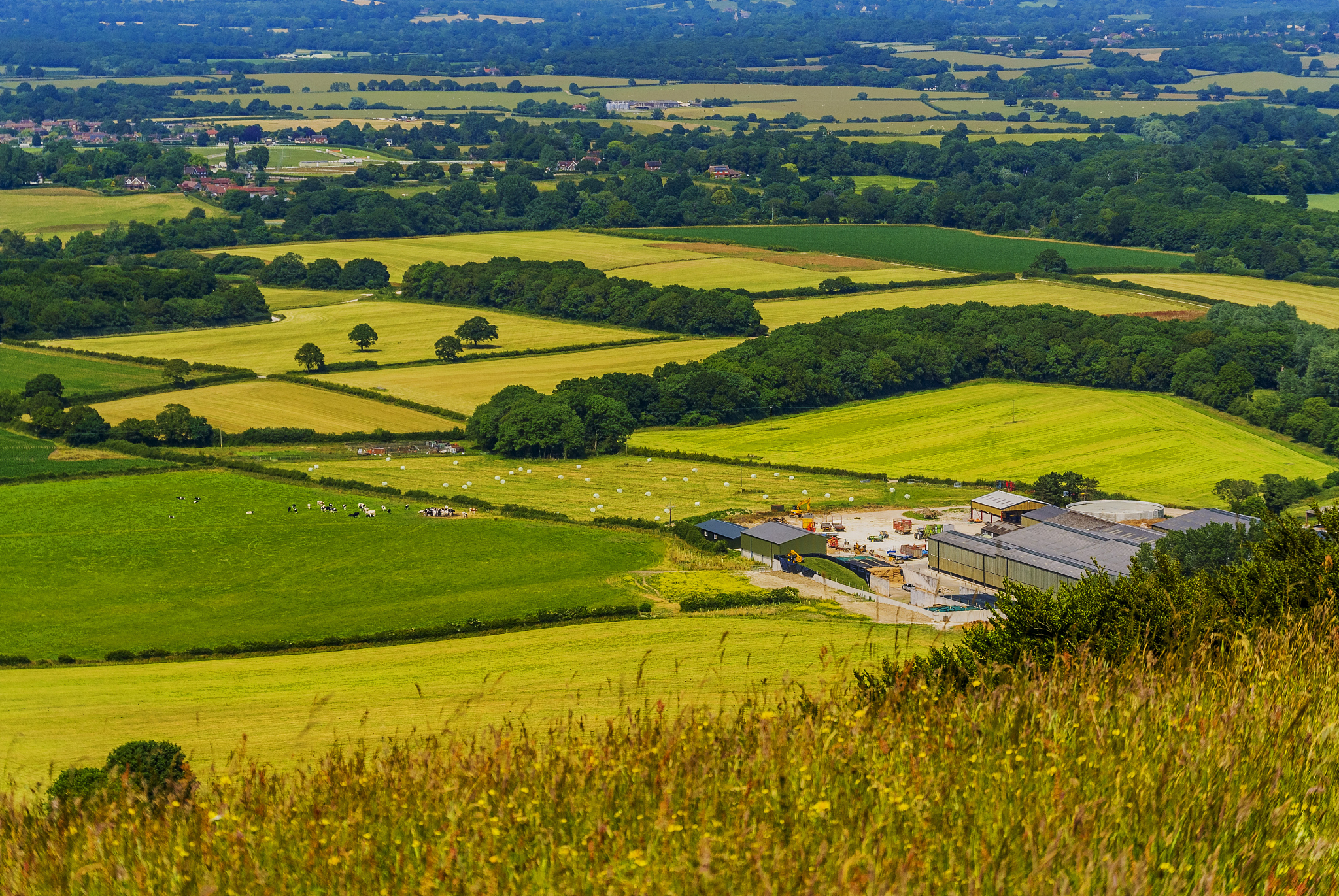 south downs