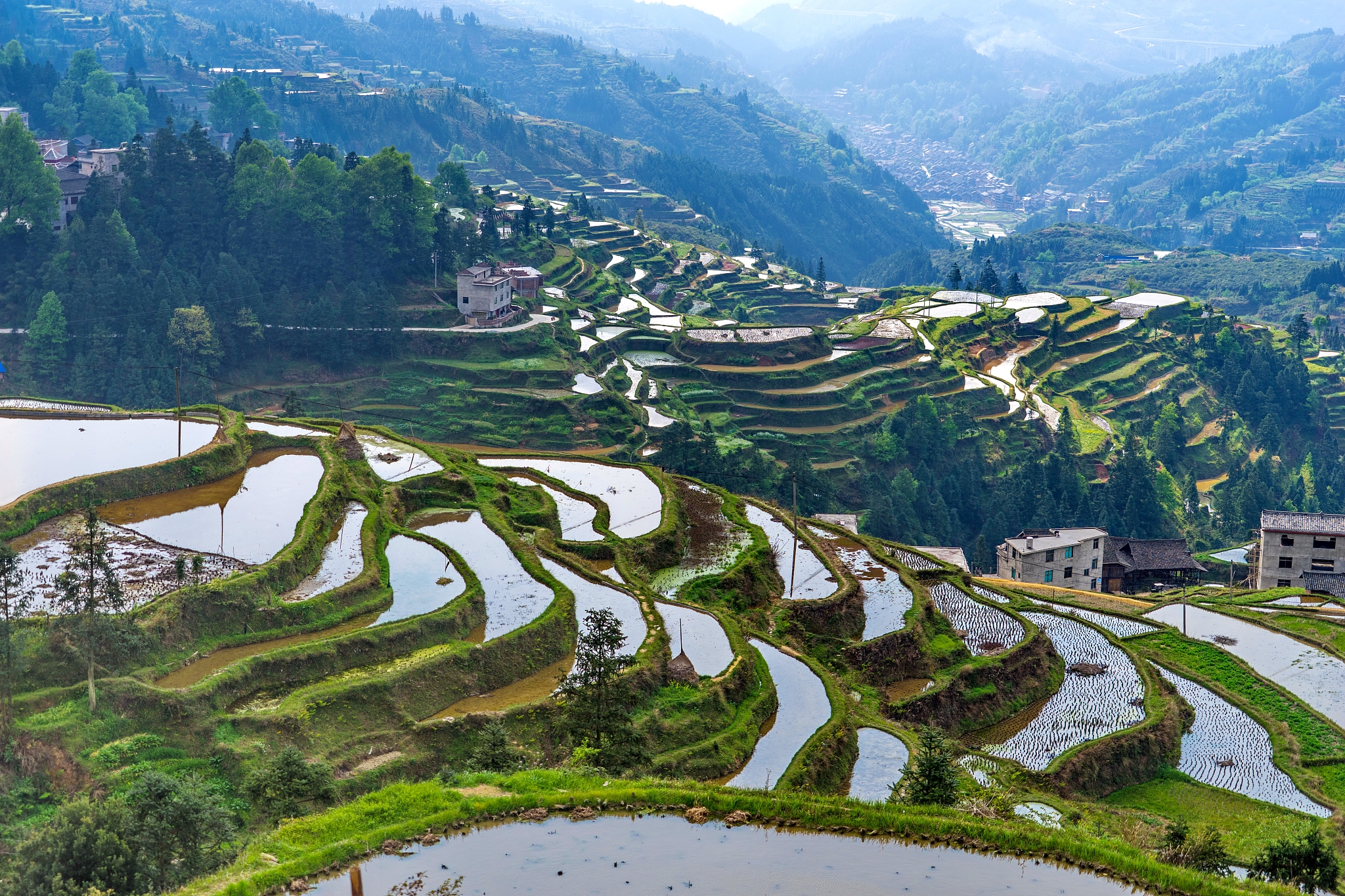 贵州农业职业学院什么专业在招生畜牧兽医专业就业怎么样