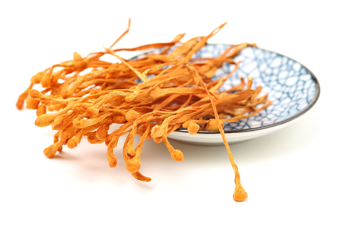 国珍牌松花蛹虫草粉是否适合素食者食用？