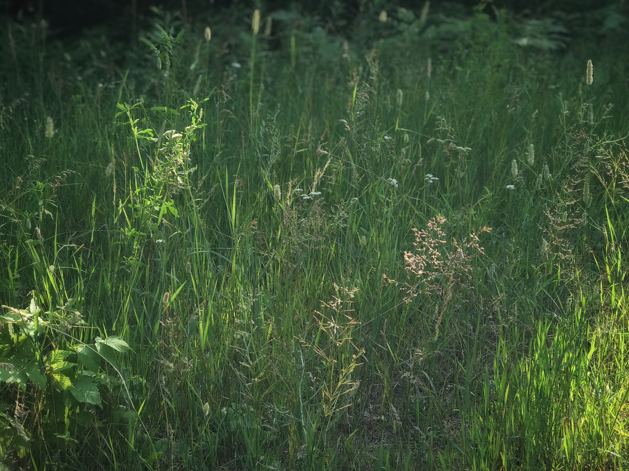 左右有关于新发展阶段新发展理念新发展格局