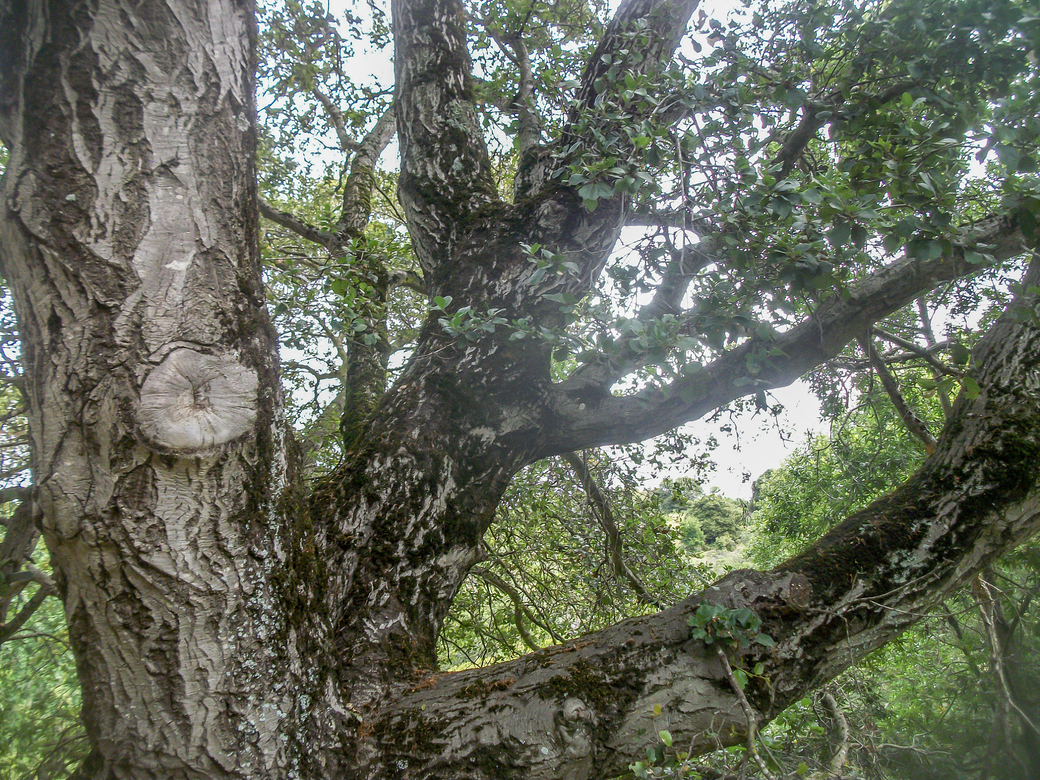 赞叹世界之美：从自然到人文，每个瞬间都值得珍惜