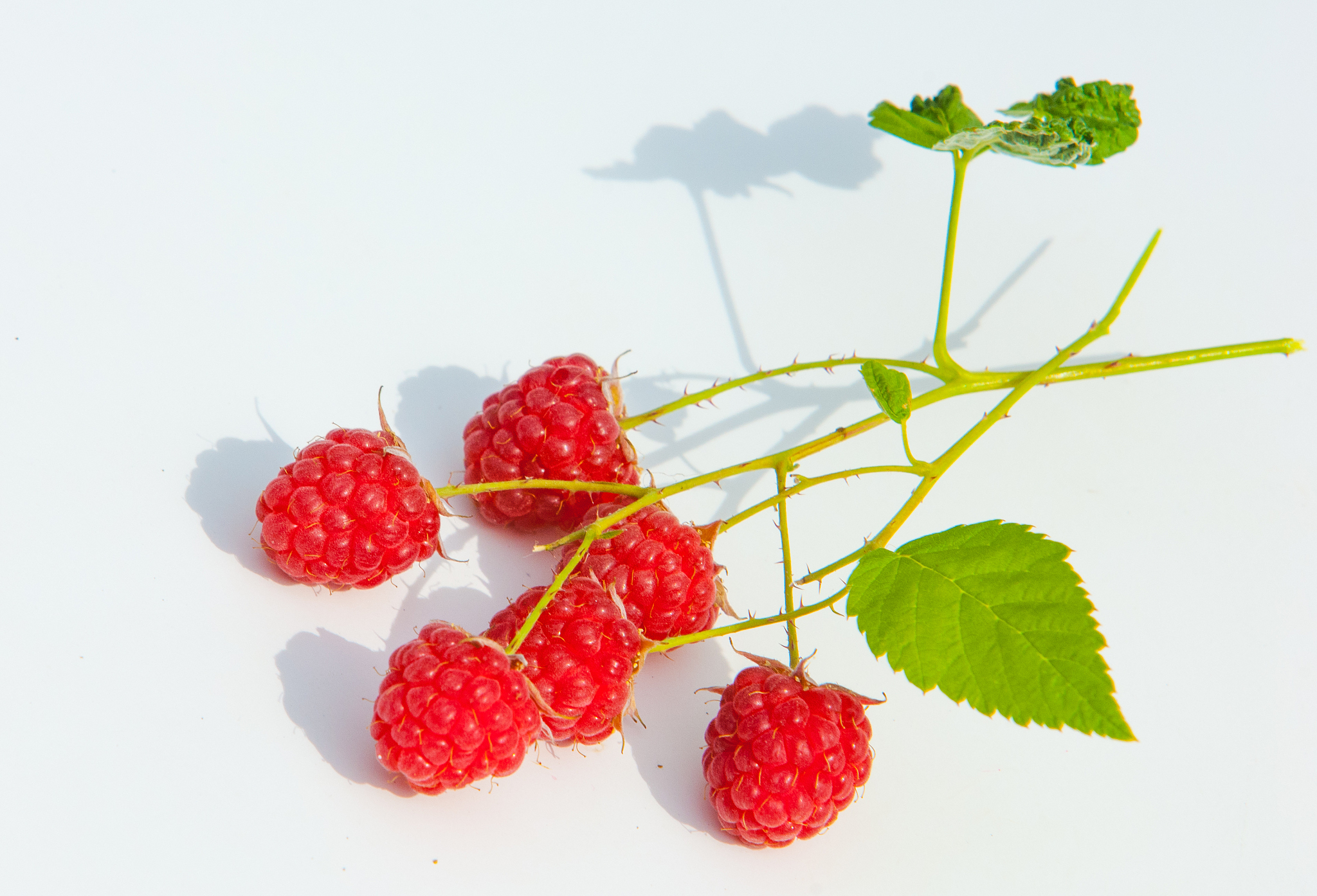 raspberry