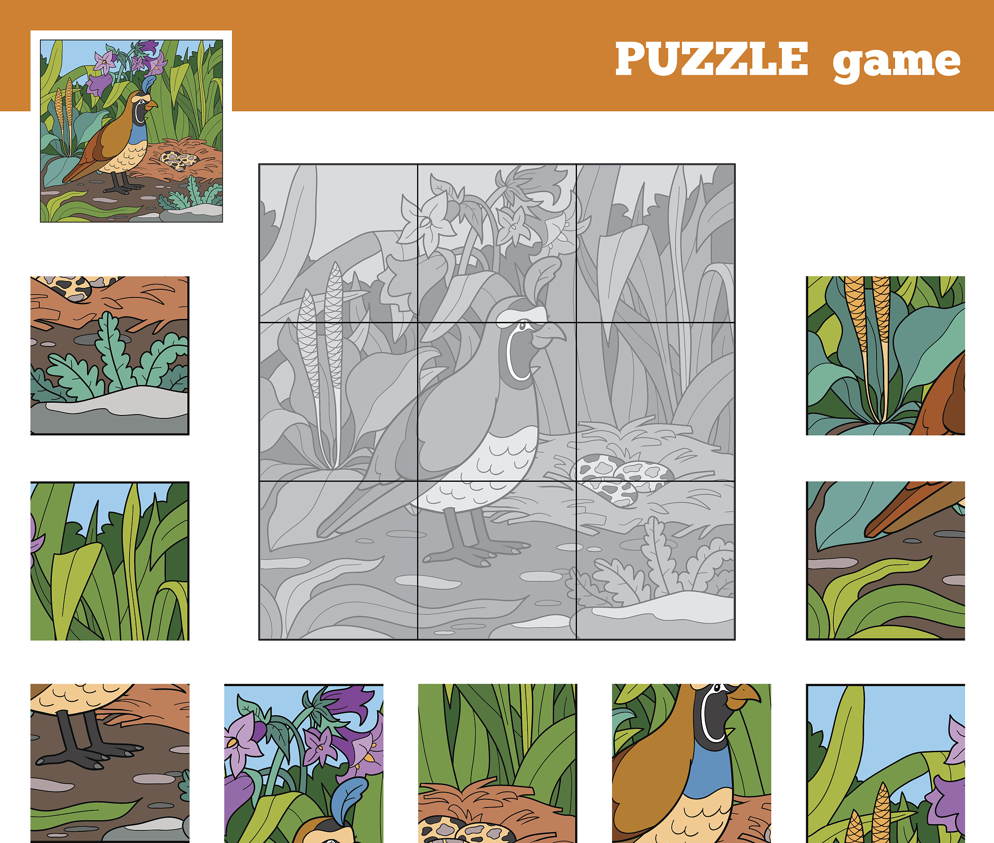 鸡和蛋，谁先出现？解开古老谜题