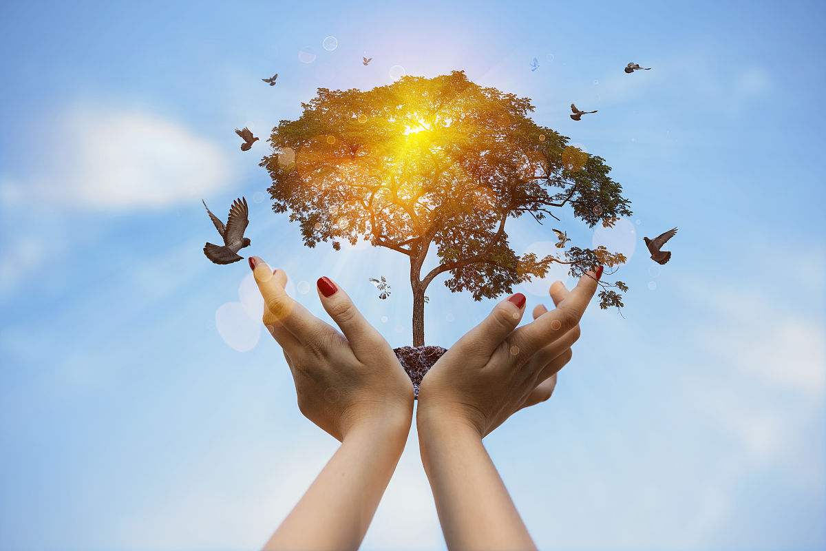 基于大观念的单元整体教学与实施：作业解析与实践