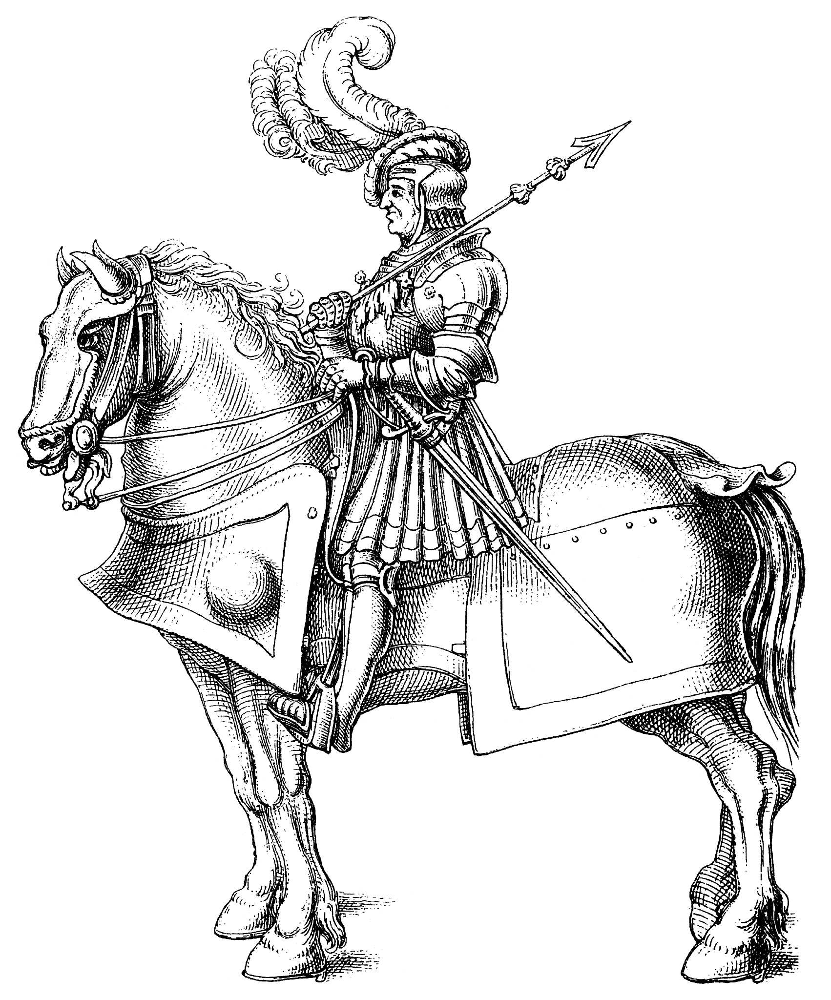 knight